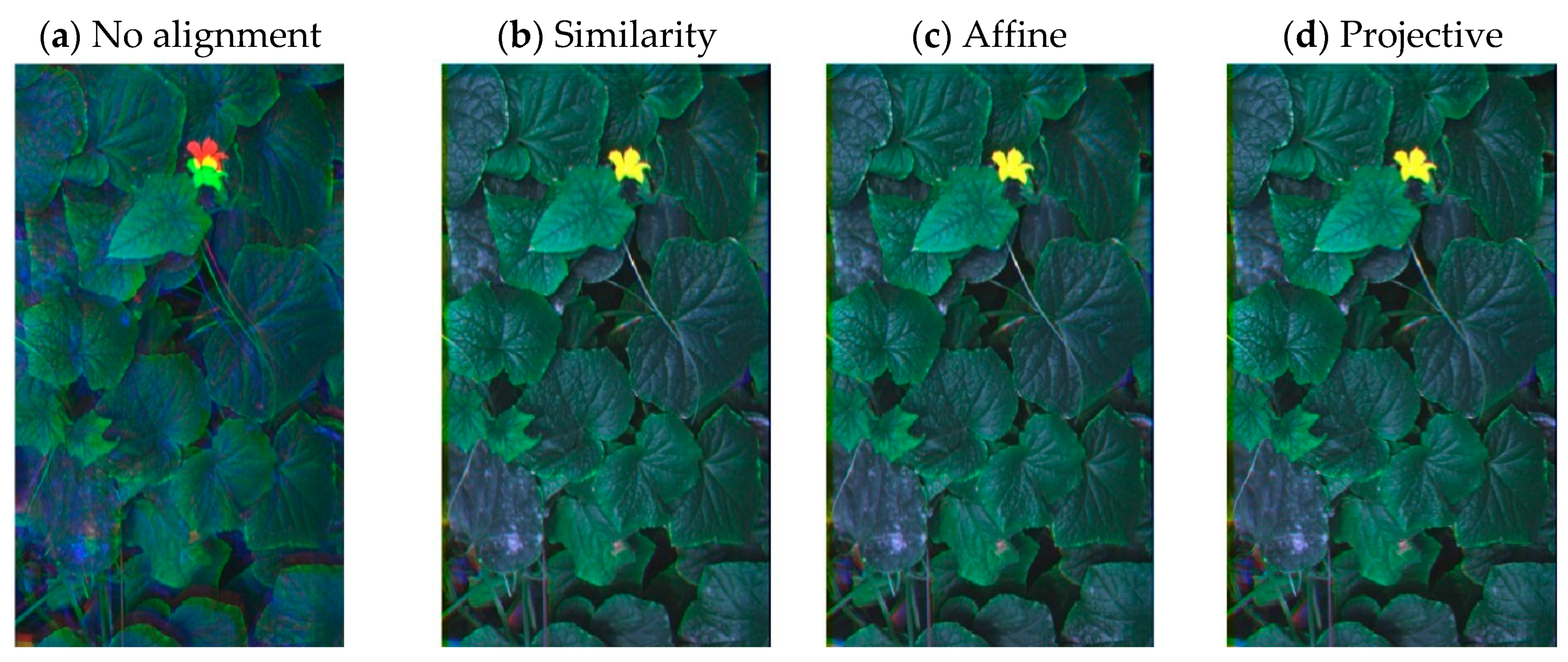 Remotesensing 13 00396 g011 Remotesensing 13 00396 g011