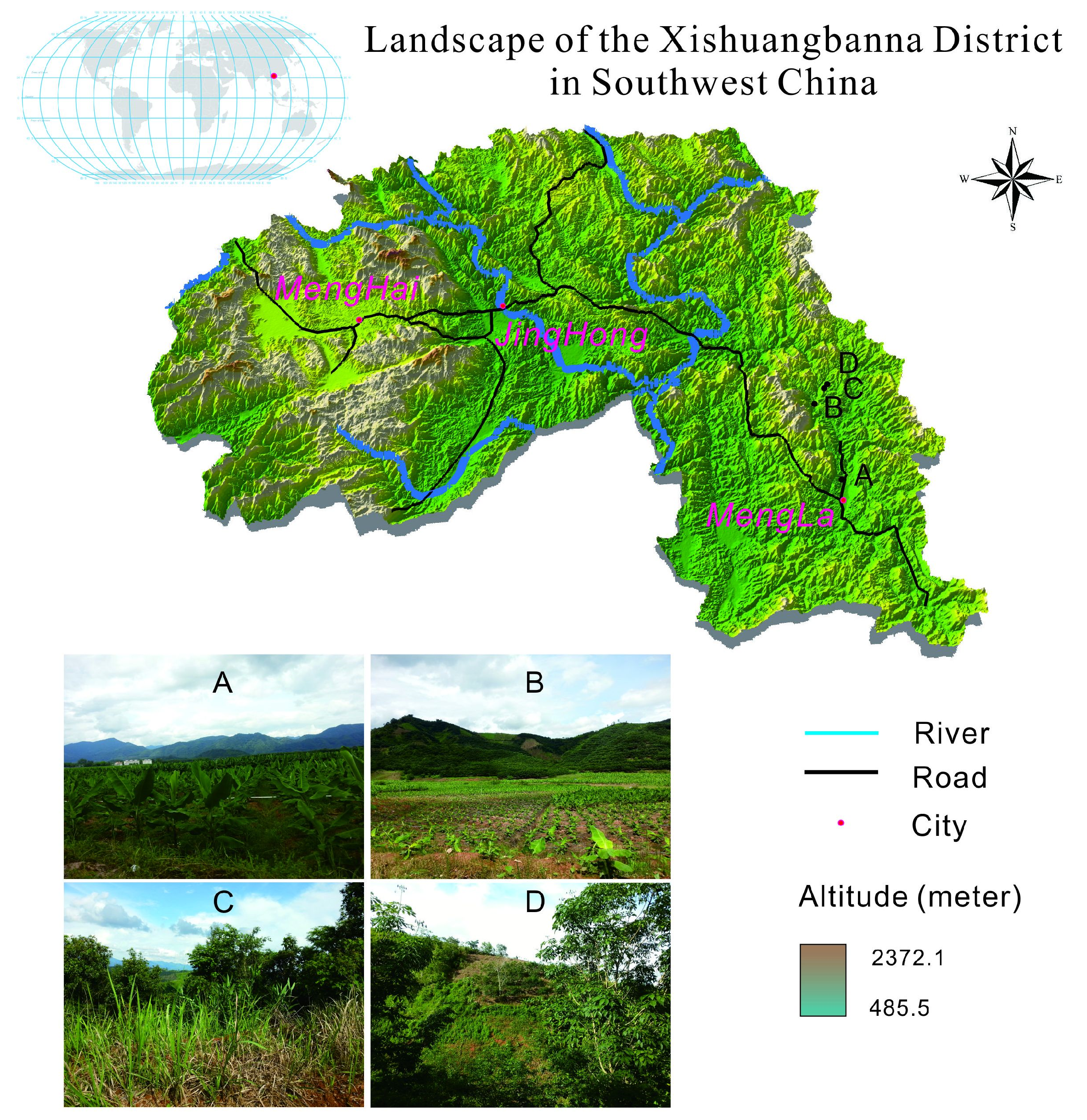 Remote Sensing | Free Full-Text | Framework for Accounting Reference Levels  for REDD+ in Tropical Forests: Case Study from Xishuangbanna, China | HTML