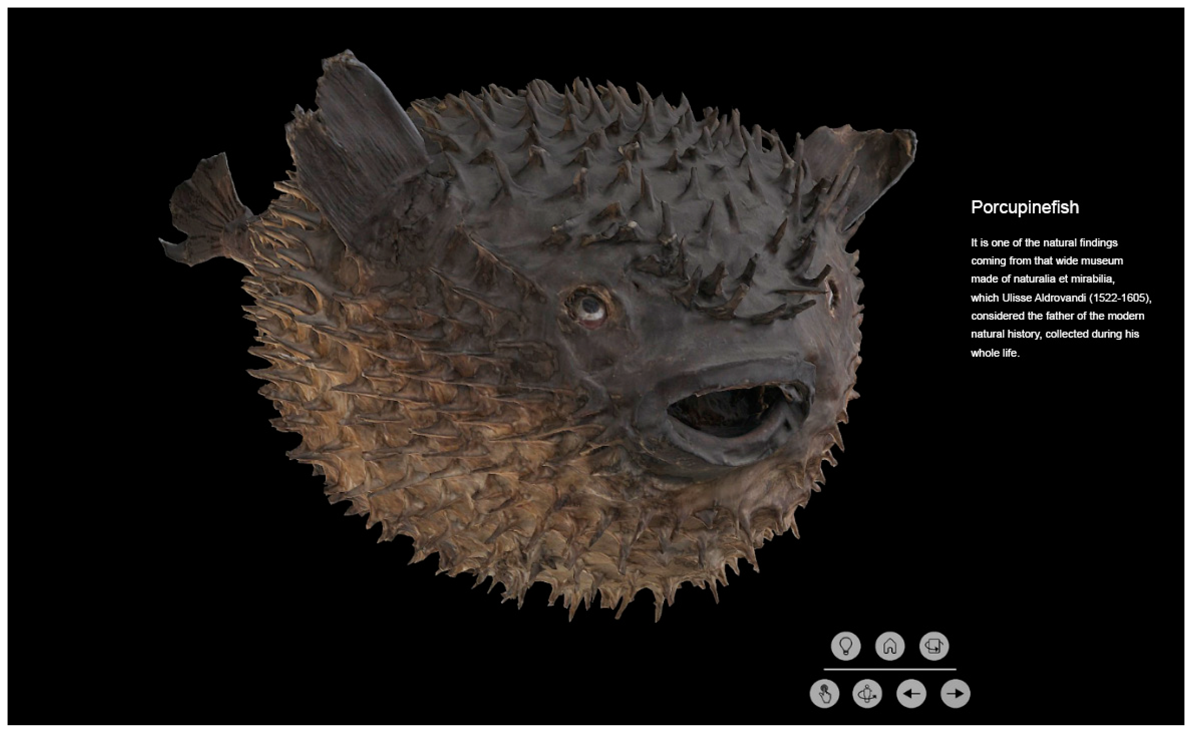 Remotesensing 13 00486 g025