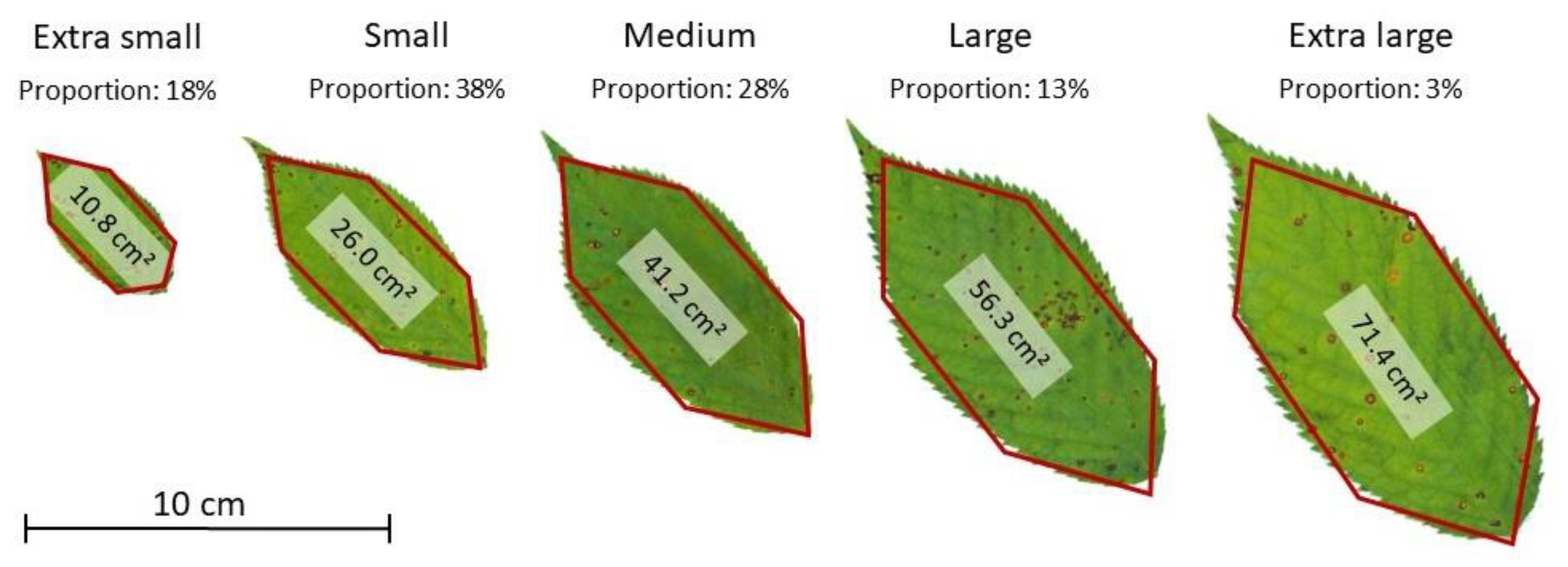 Remotesensing 13 00532 g003