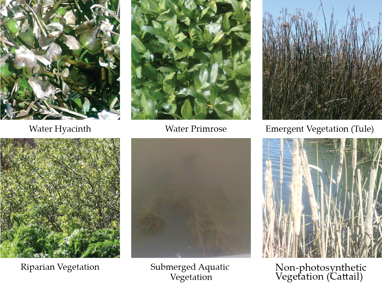 Remotesensing 13 00582 g002 Remotesensing 13 00582 g002