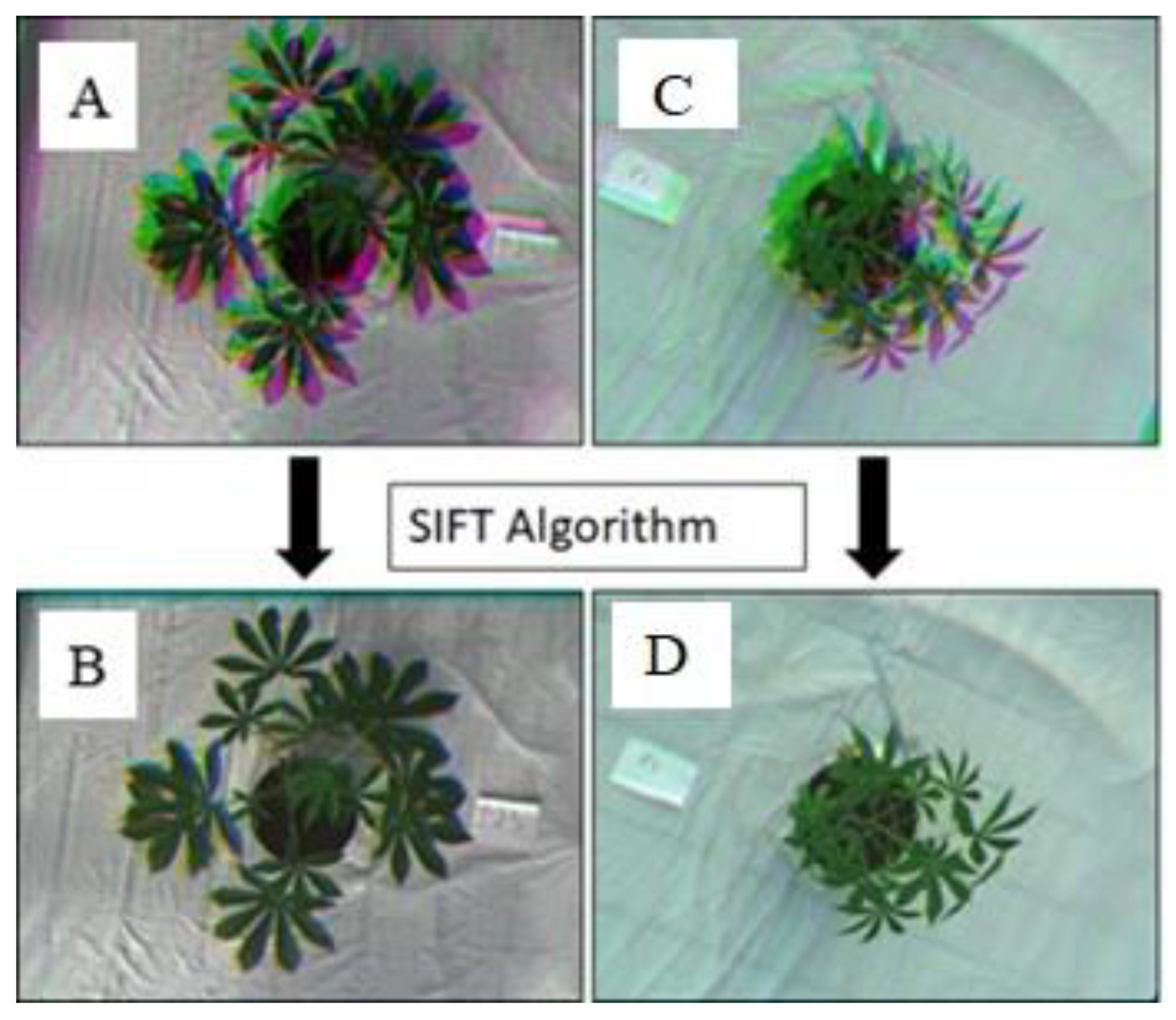 Remotesensing 13 00598 g004