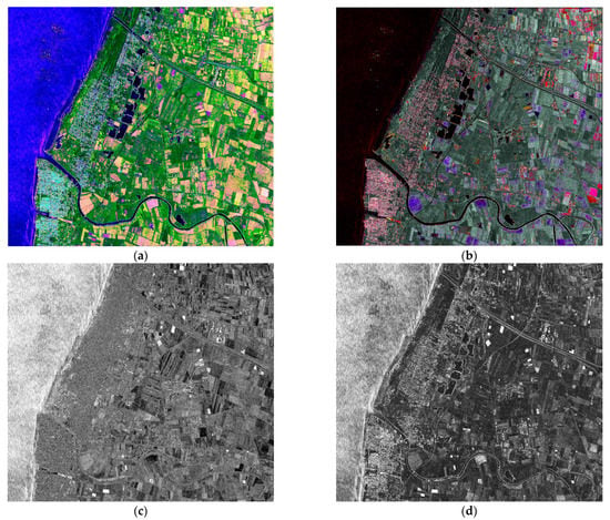 Remote Sensing | Free Full-Text | Earth Environmental Monitoring Using ...