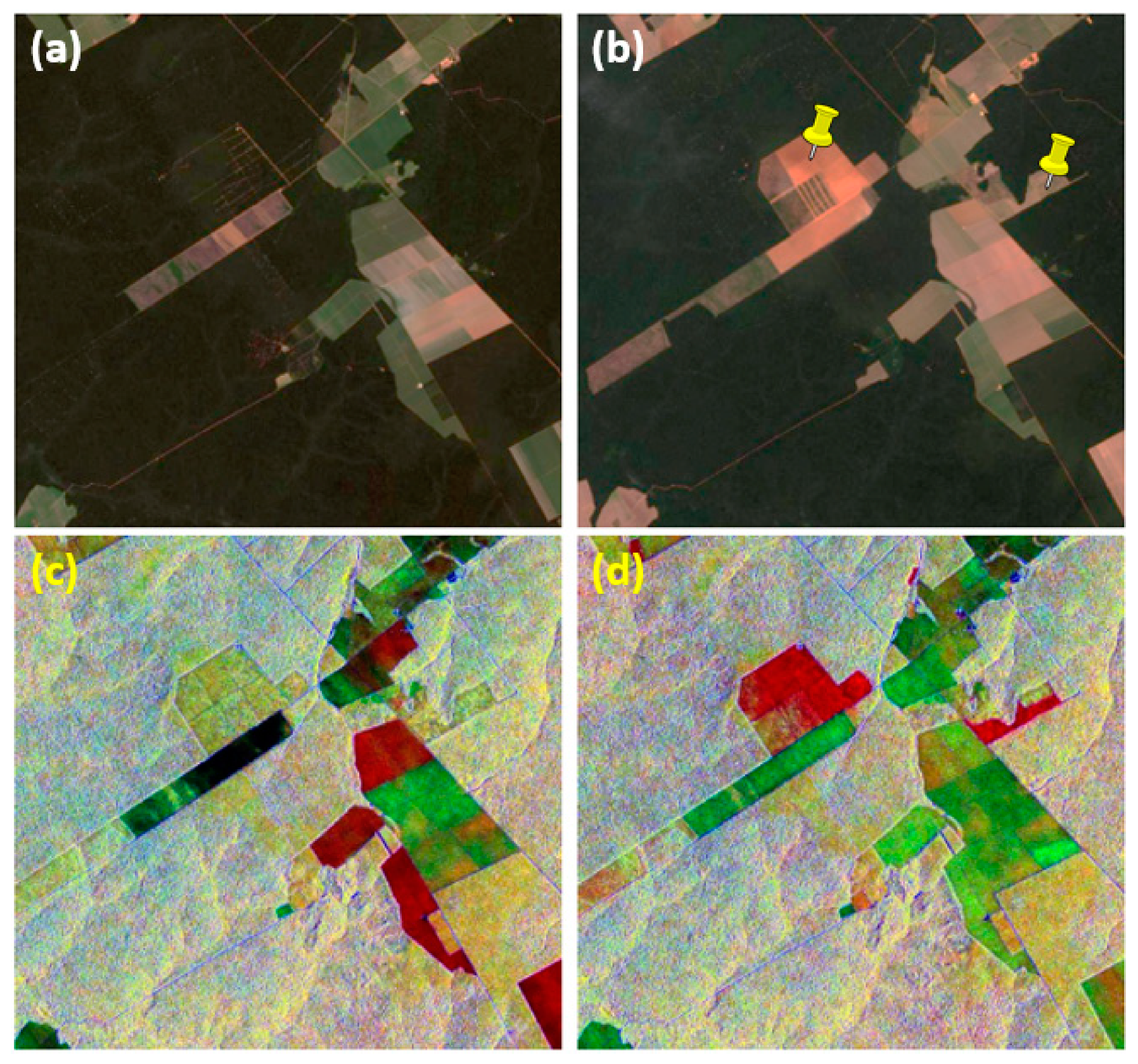 Remote Sensing | Free Full-Text | Earth Environmental Monitoring Using  Multi-Temporal Synthetic Aperture Radar: A Critical Review of Selected  Applications