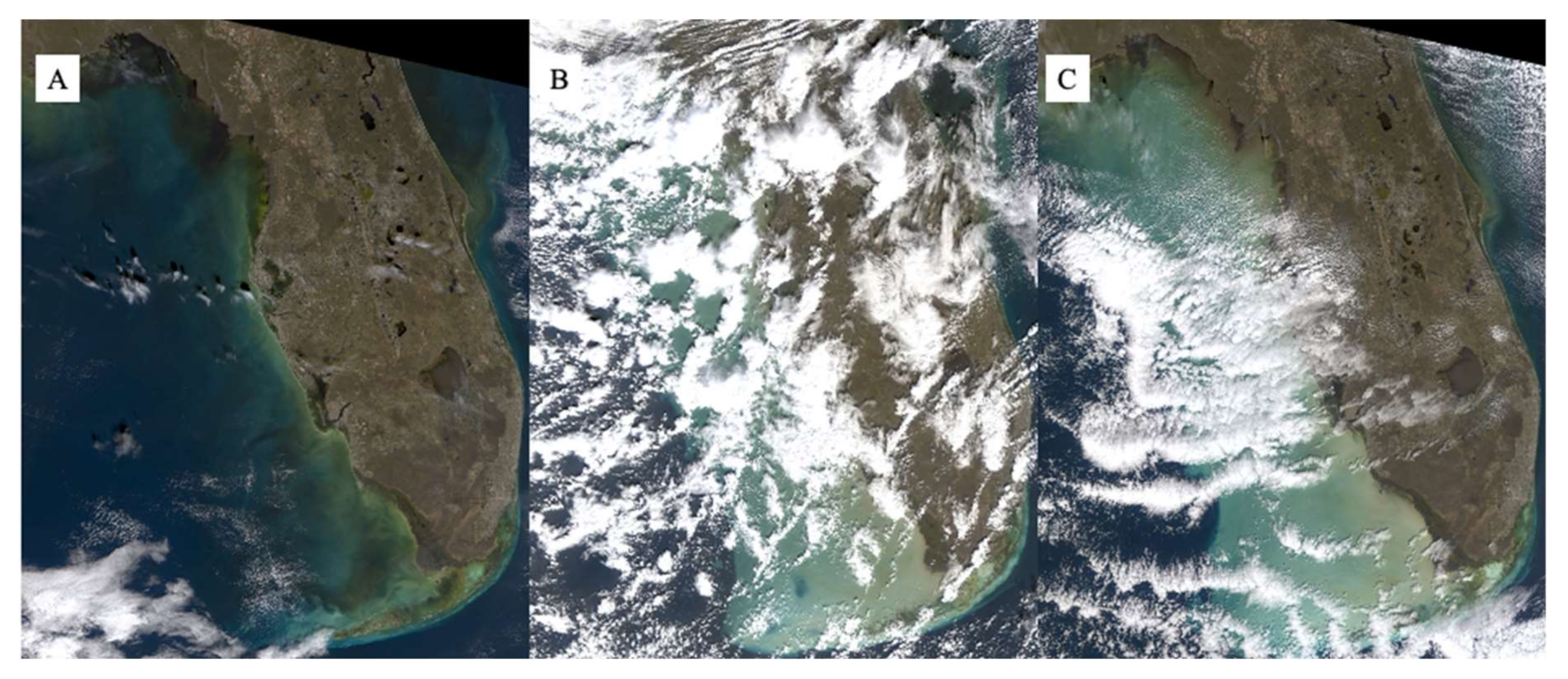 Remotesensing 13 00619 g003 Remotesensing 13 00619 g003