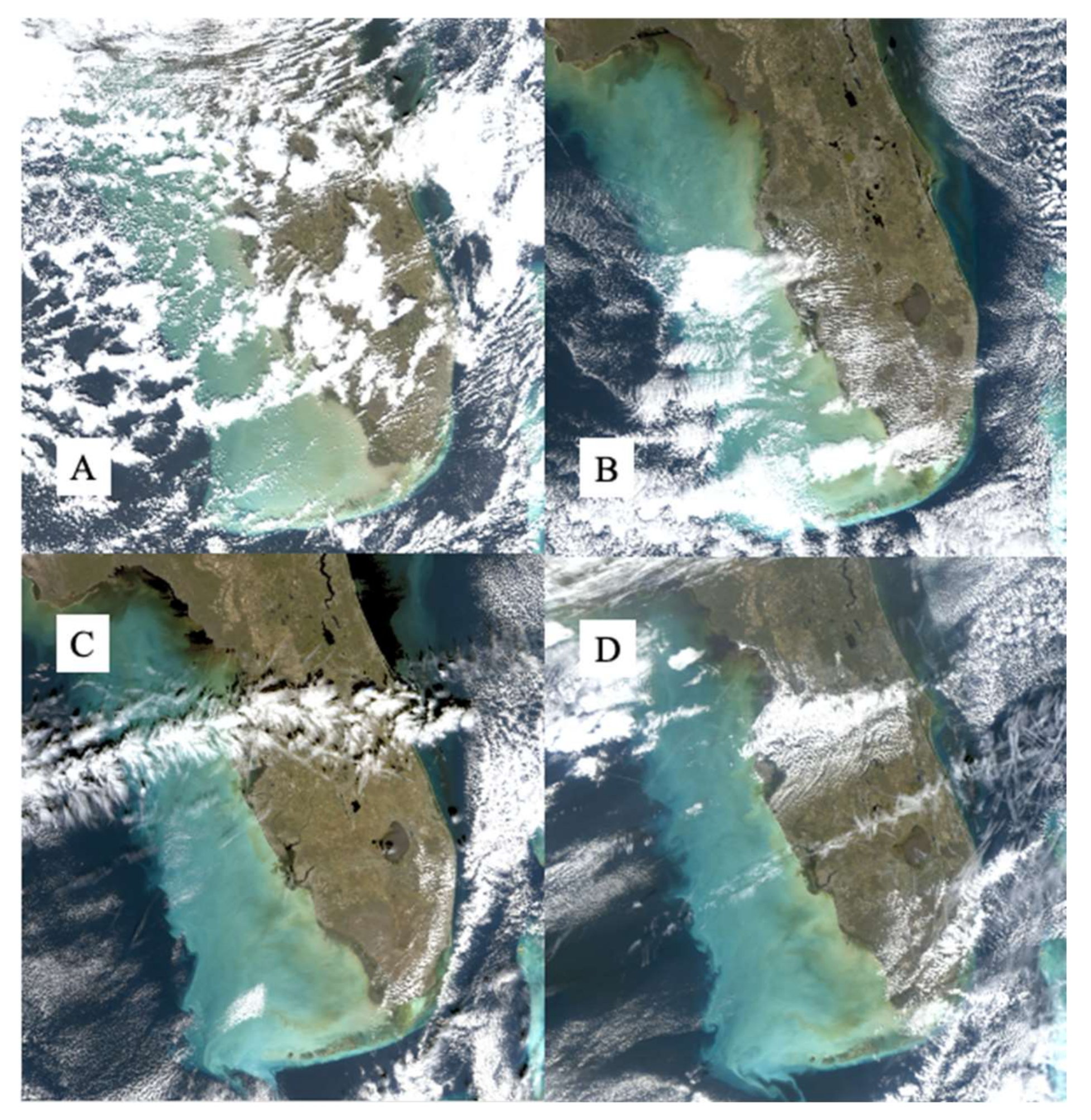 Remotesensing 13 00619 g005 Remotesensing 13 00619 g005