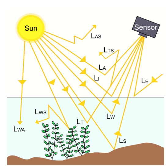 Remote Sensing Free Full Text A Review Of Remote Sensing Of Submerged Aquatic Vegetation For Non Specialists Html