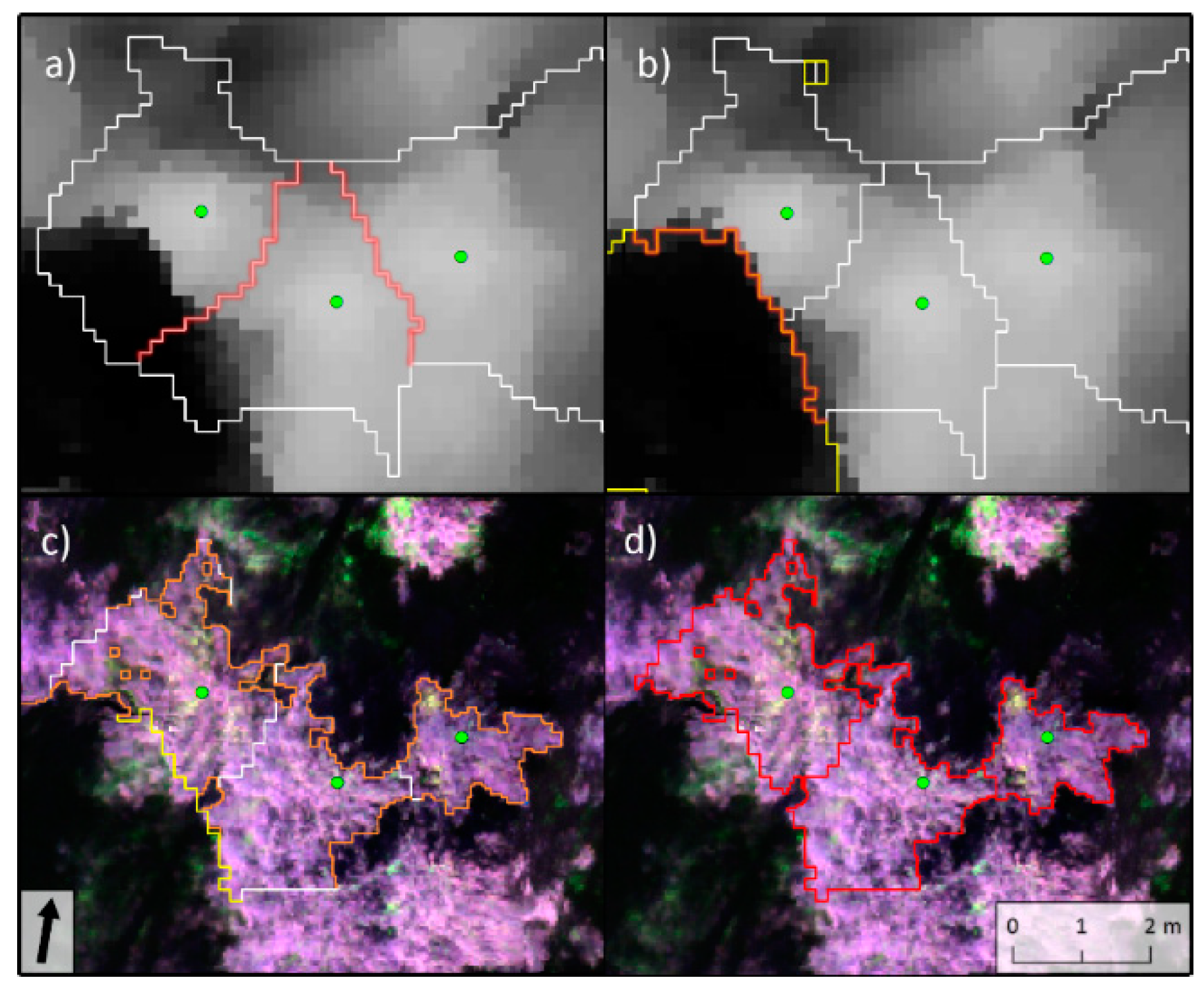 Remote Sensing Free Full Text Canopy Top Height And Photosynthetic Pigment Estimation Using Parrot Sequoia Multispectral Imagery And The Unmanned Aerial Vehicle Uav Html