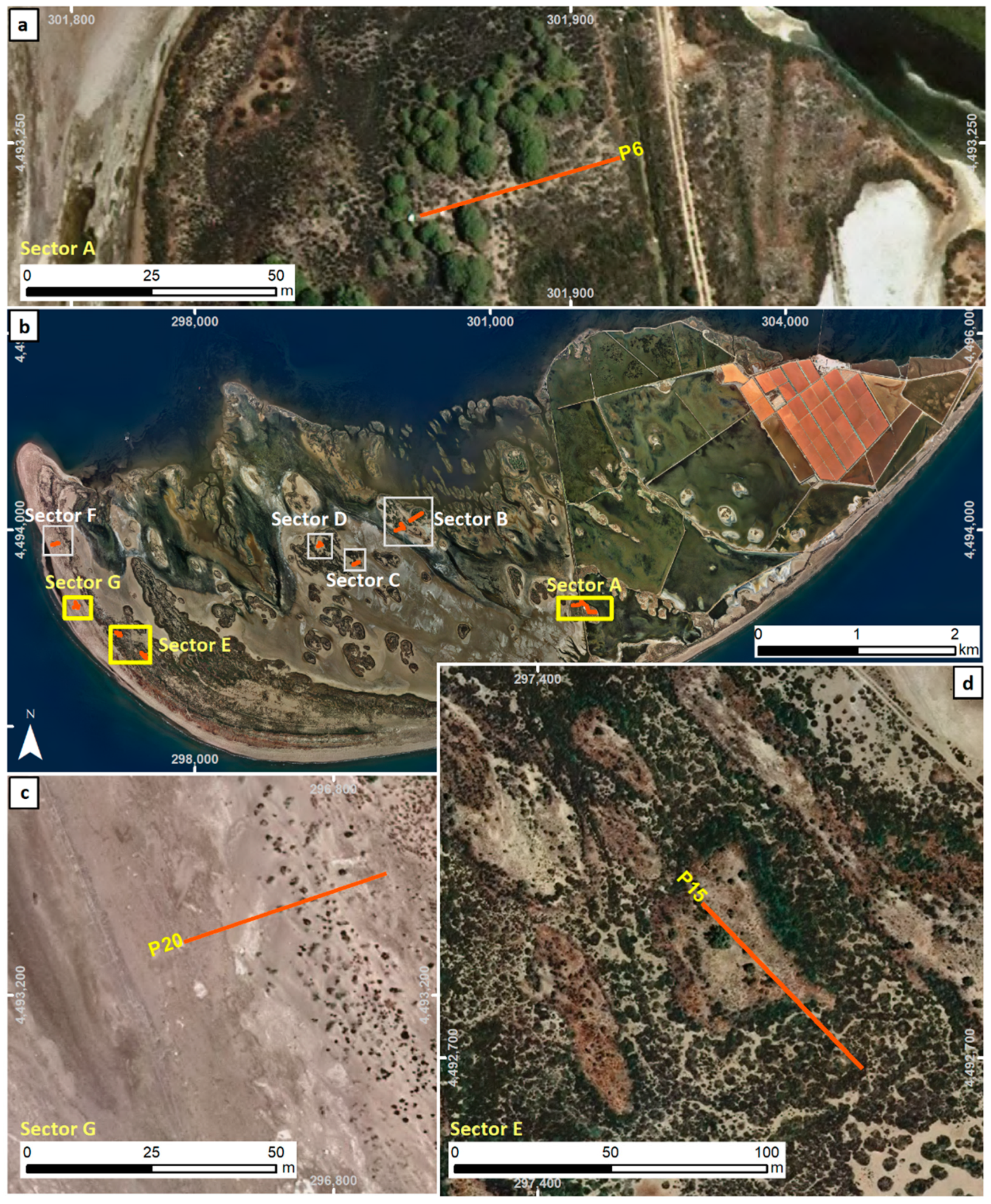 Remotesensing 13 00802 g005