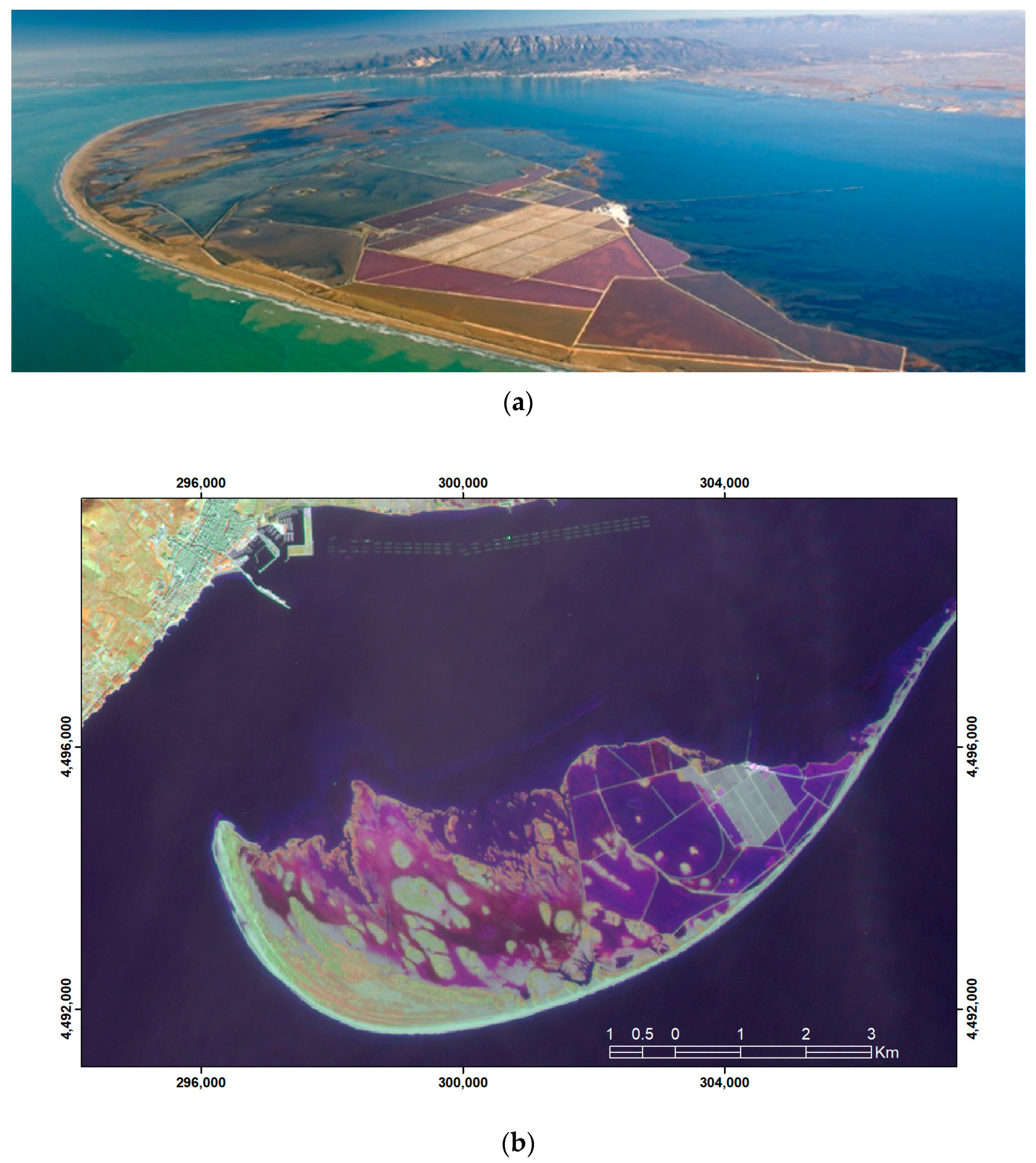 Remotesensing 13 00802 g011