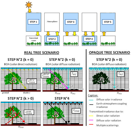 Remote Sensing | Free Full-Text | Impact of Tree Crown Transmittance on  Surface Reflectance Retrieval in the Shade for High Spatial Resolution  Imaging Spectroscopy: A Simulation Analysis Based on Tree Modeling Scenarios