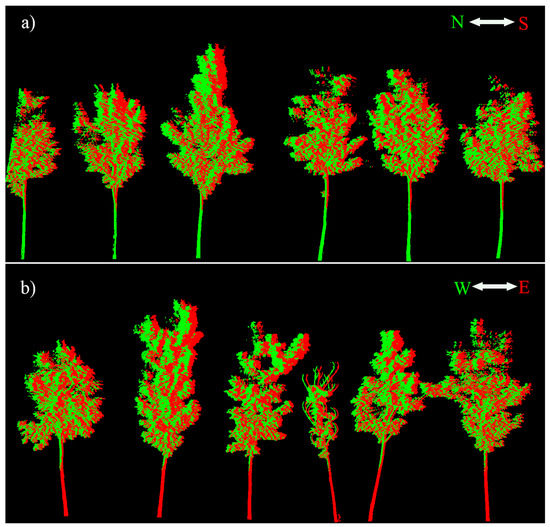 Remote Sensing | Free Full-Text | A Lidar-Based 3-D Photosynthetically  Active Radiation Model Reveals the Spatiotemporal Variations of Forest  Sunlit and Shaded Leaves | HTML