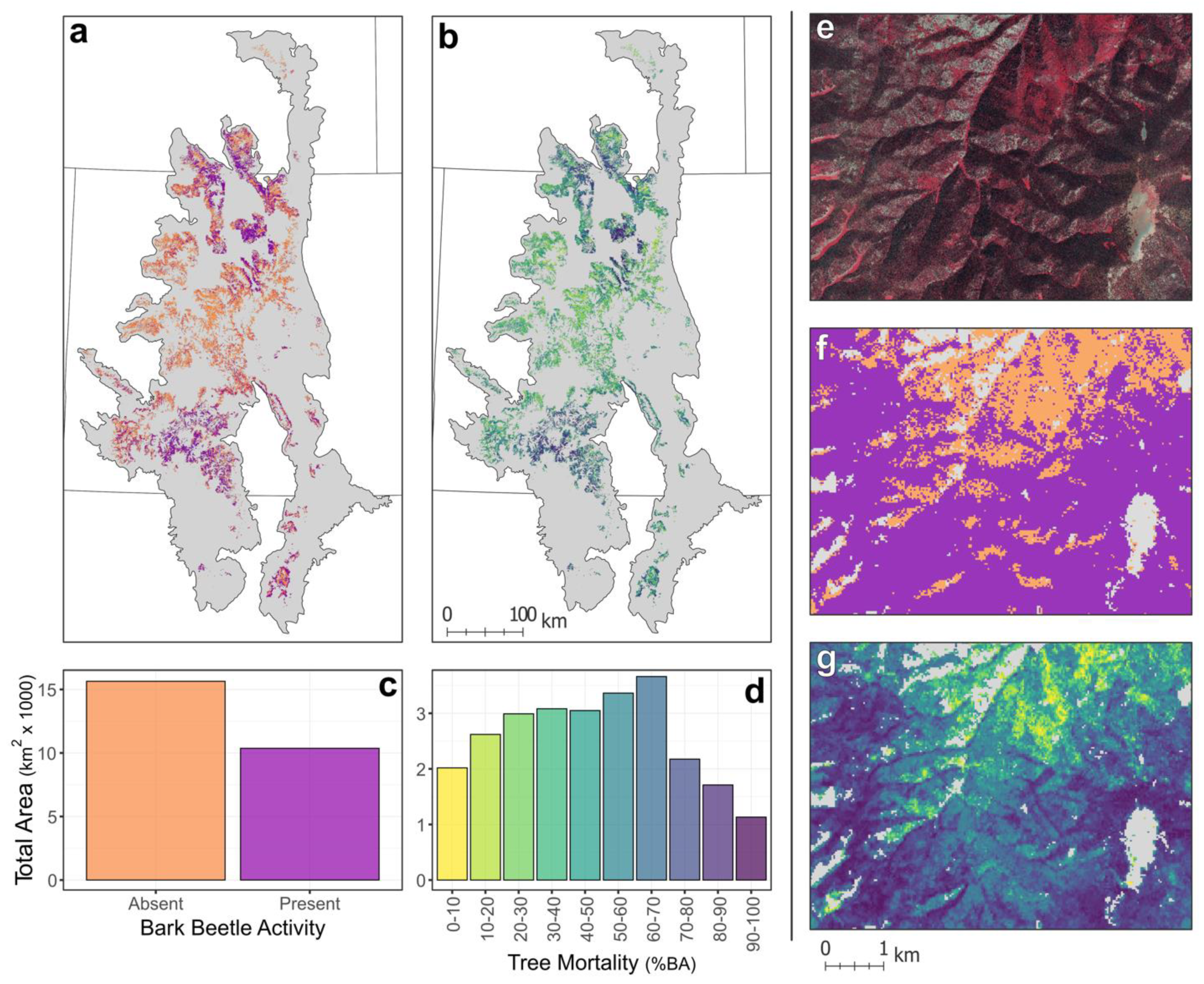 Remote Sensing | Free Full-Text | Effects of Bark Beetle Outbreaks on  Forest Landscape Pattern in the Southern Rocky Mountains, U.S.A. | HTML