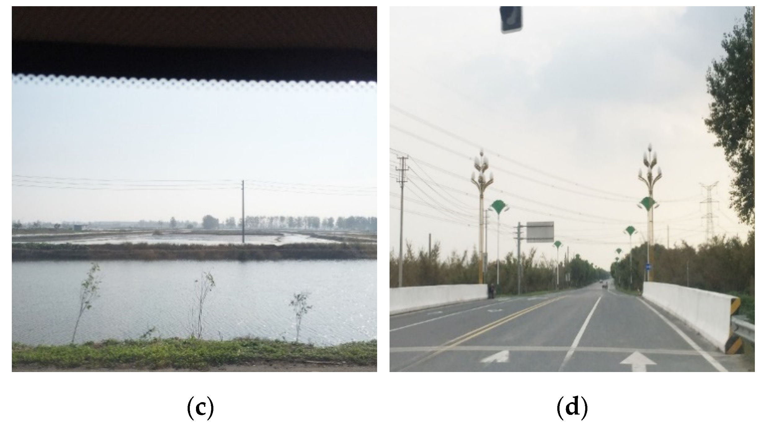 Remotesensing 13 01148 g005b