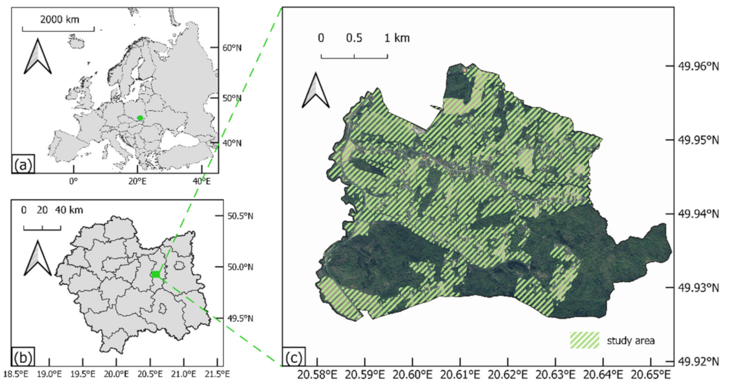Remotesensing 13 01166 g001