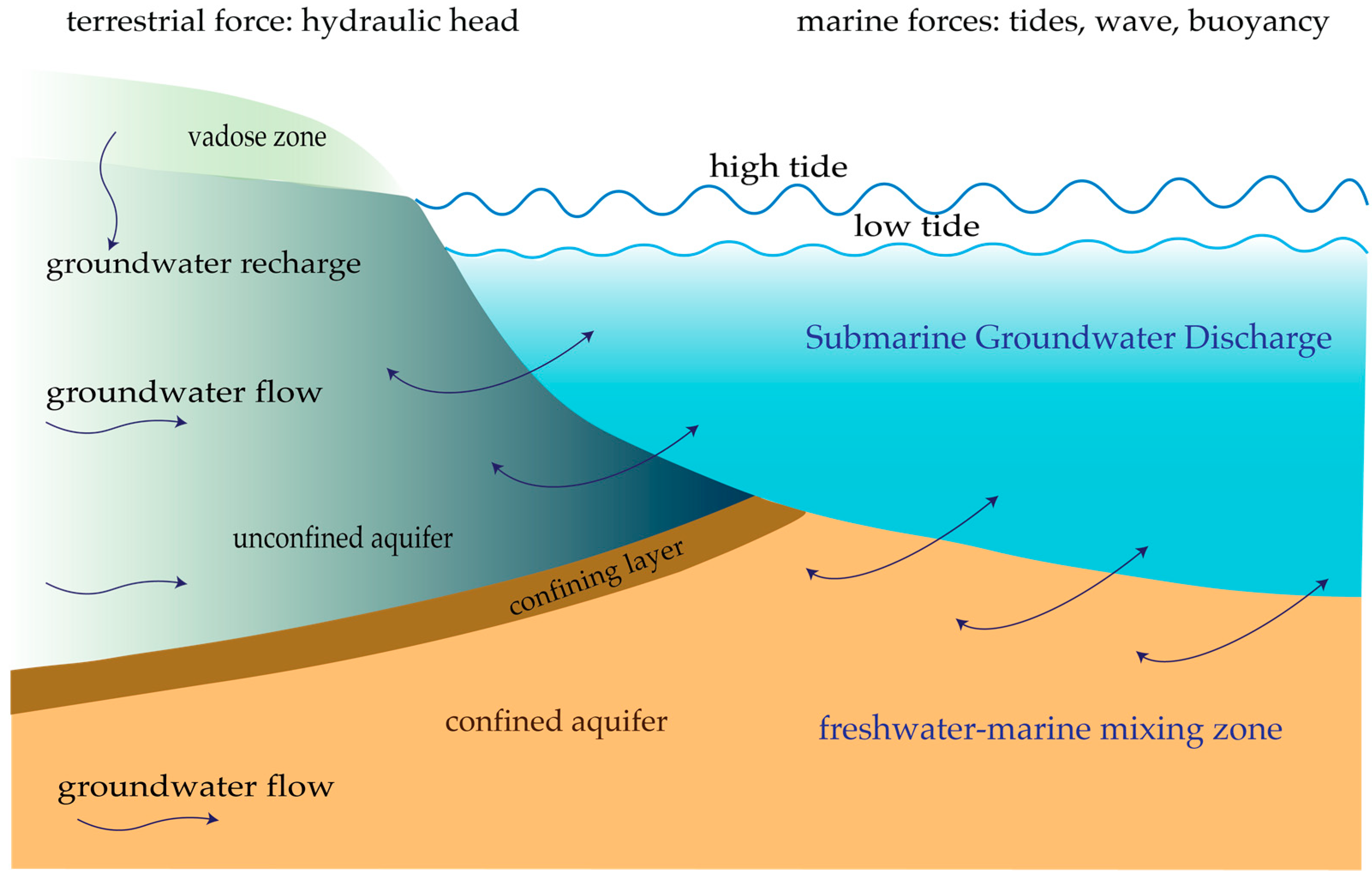 Remote Sensing | Free Full-Text | Small Unmanned Aircraft (sUAS ...