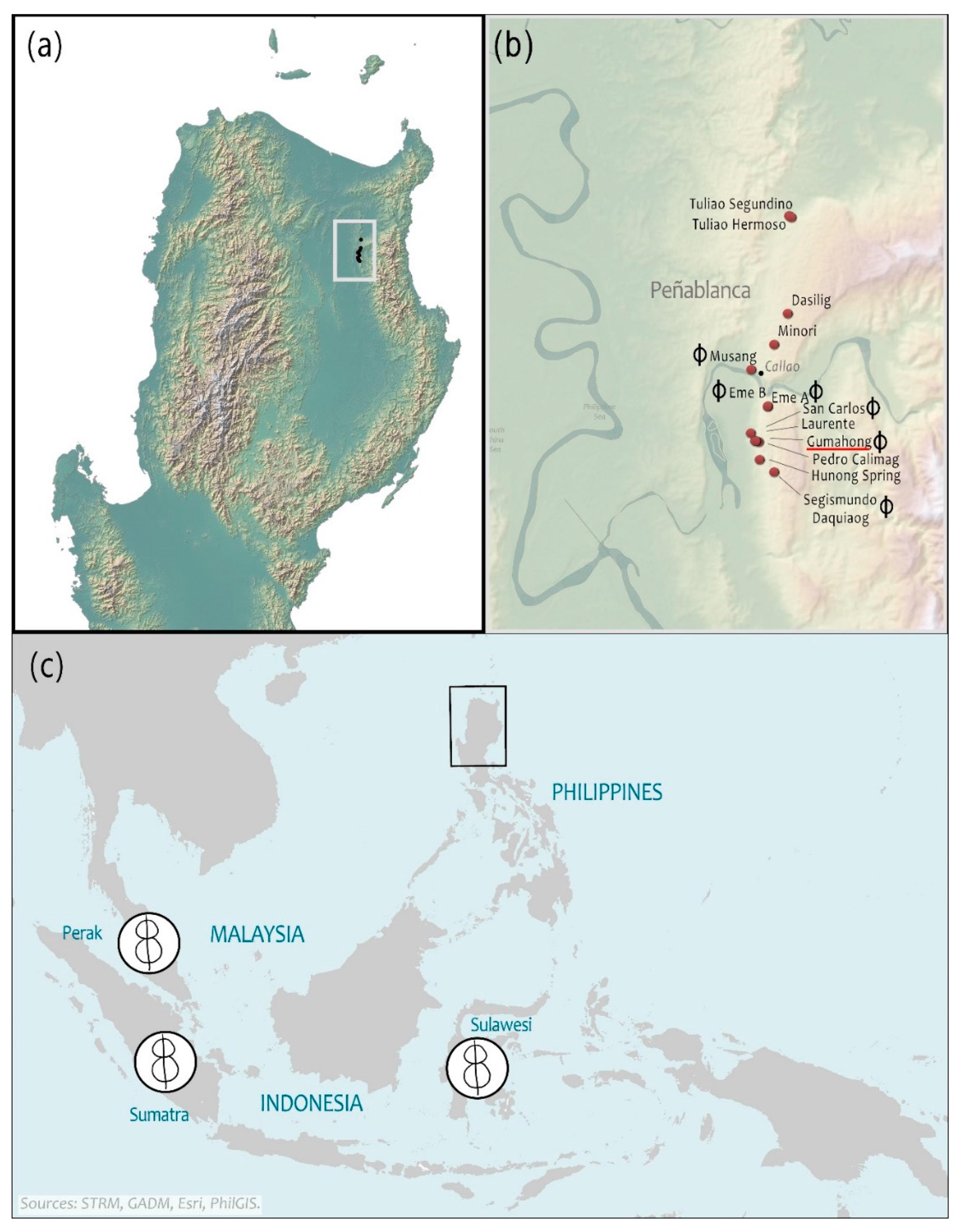 Remotesensing 13 01357 g006 Remotesensing 13 01357 g006