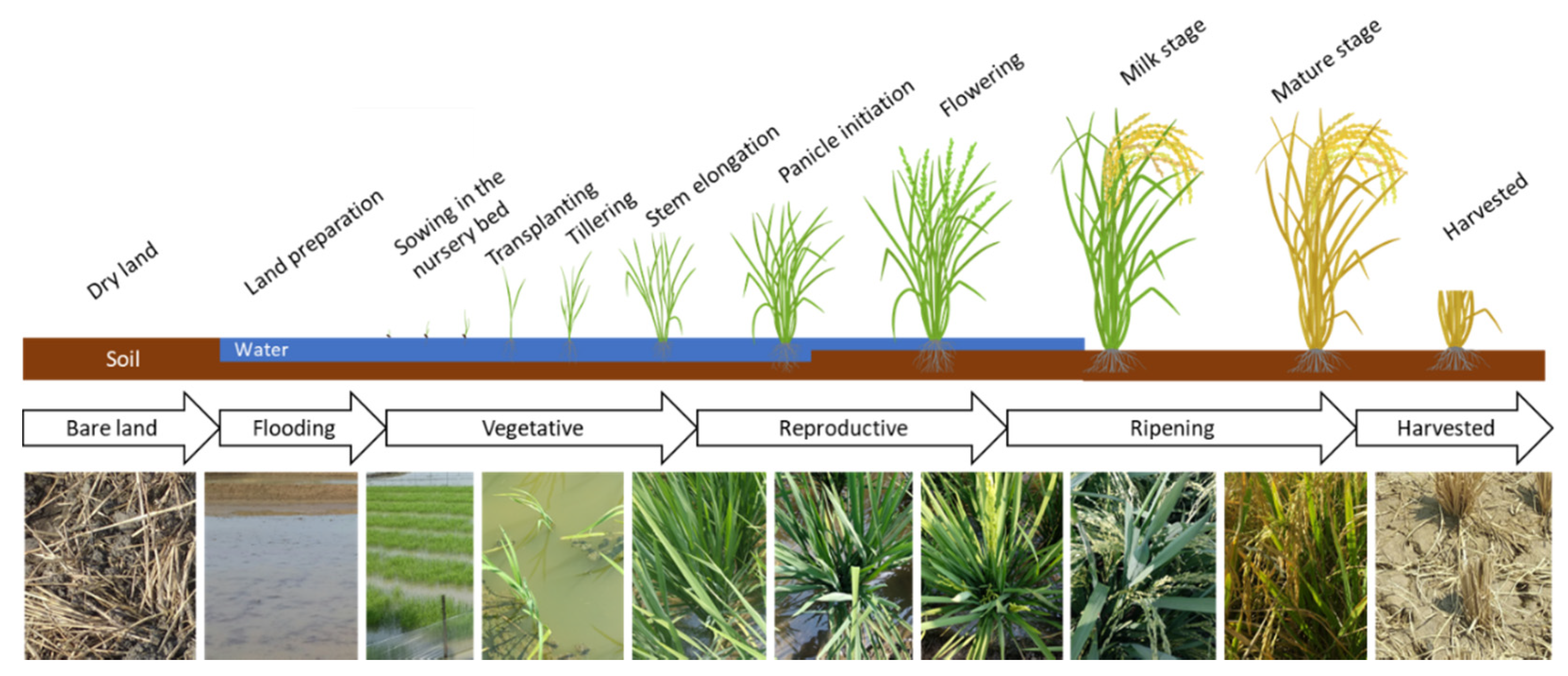 Remotesensing 13 01498 g001