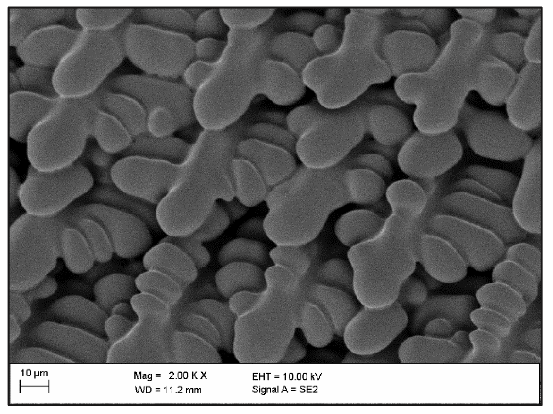 Remotesensing 13 01724 g008