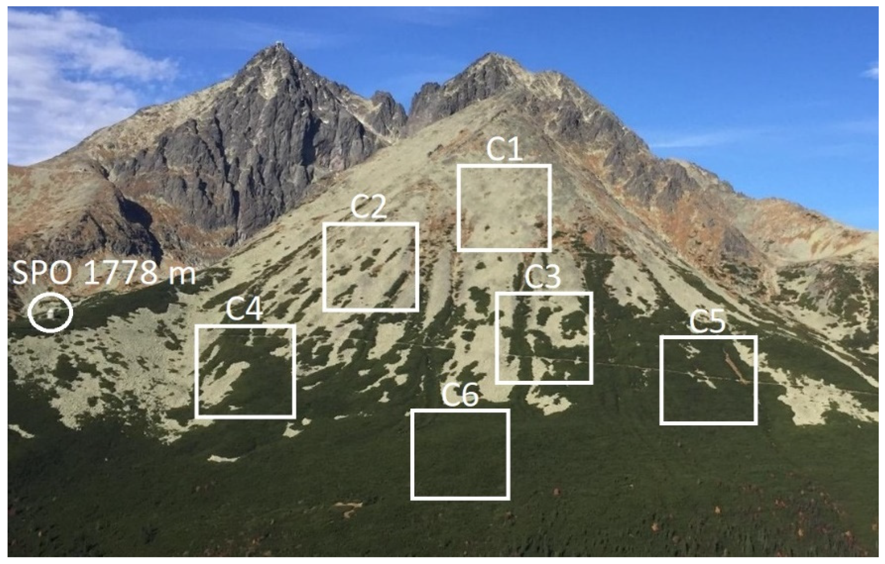 Remotesensing 13 01788 g002