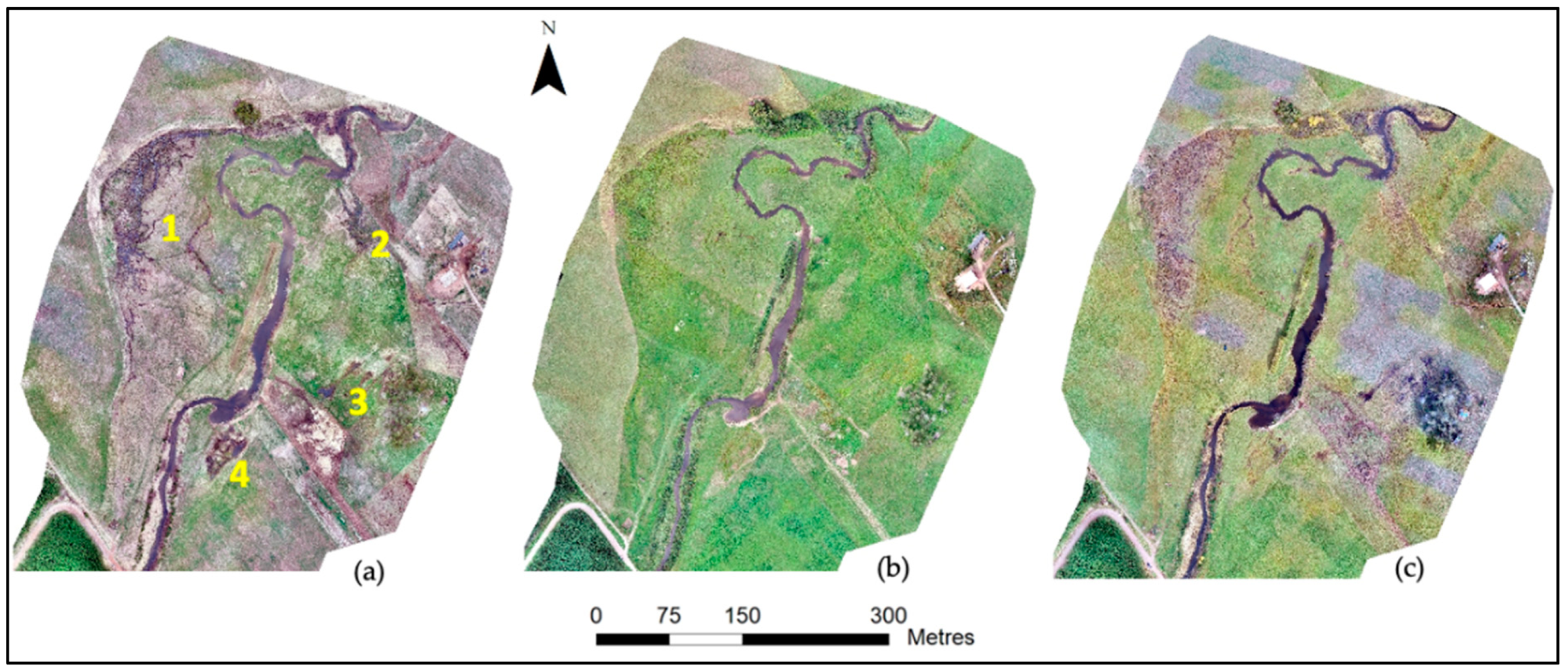 Remotesensing 13 01997 g007 Remotesensing 13 01997 g007