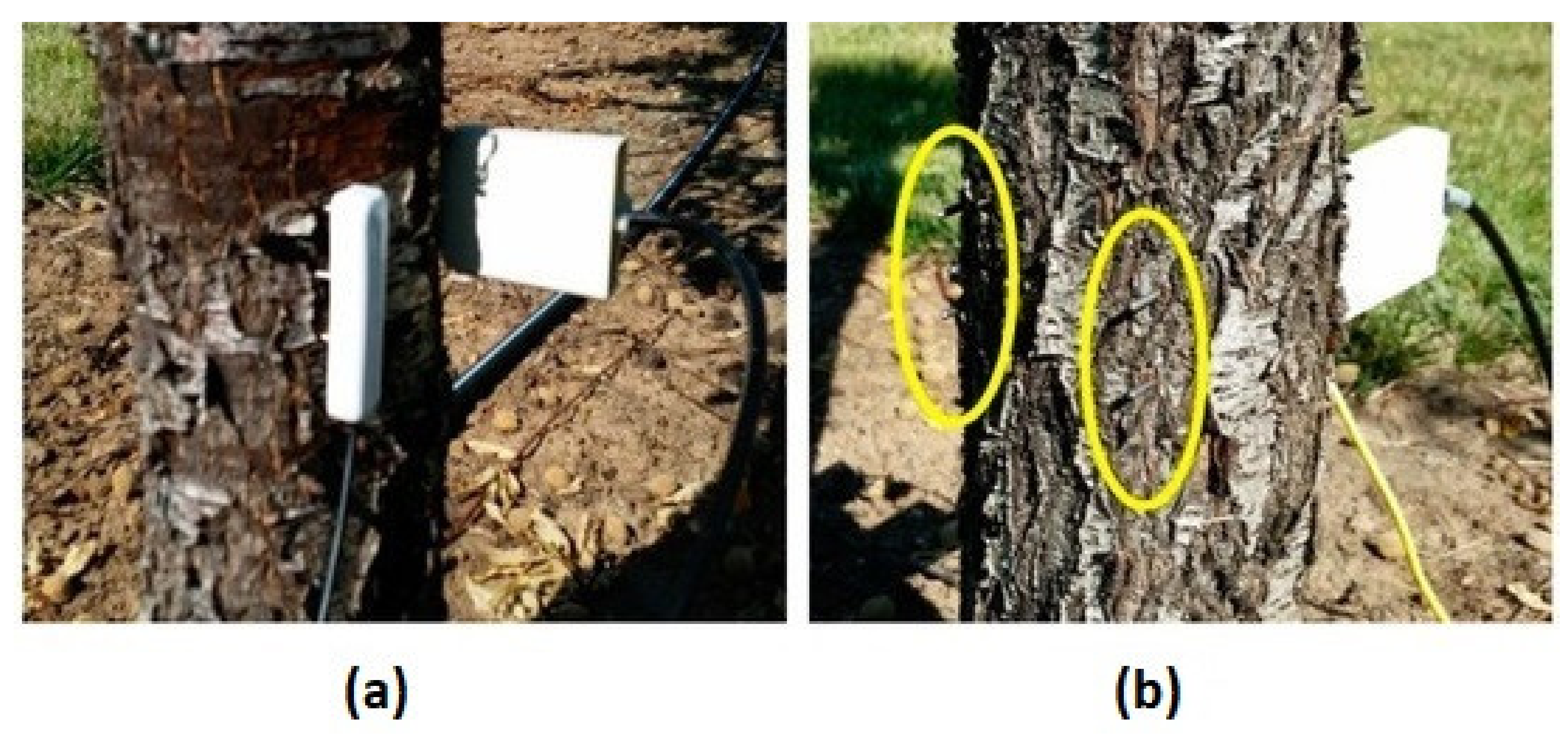 Remotesensing 13 02088 g006 Remotesensing 13 02088 g006