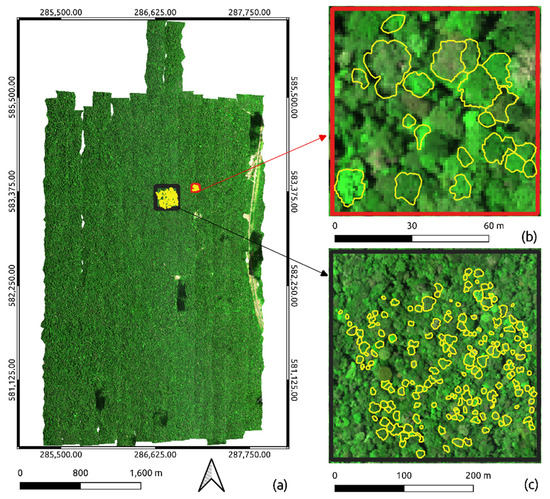 Remote Sensing, Free Full-Text