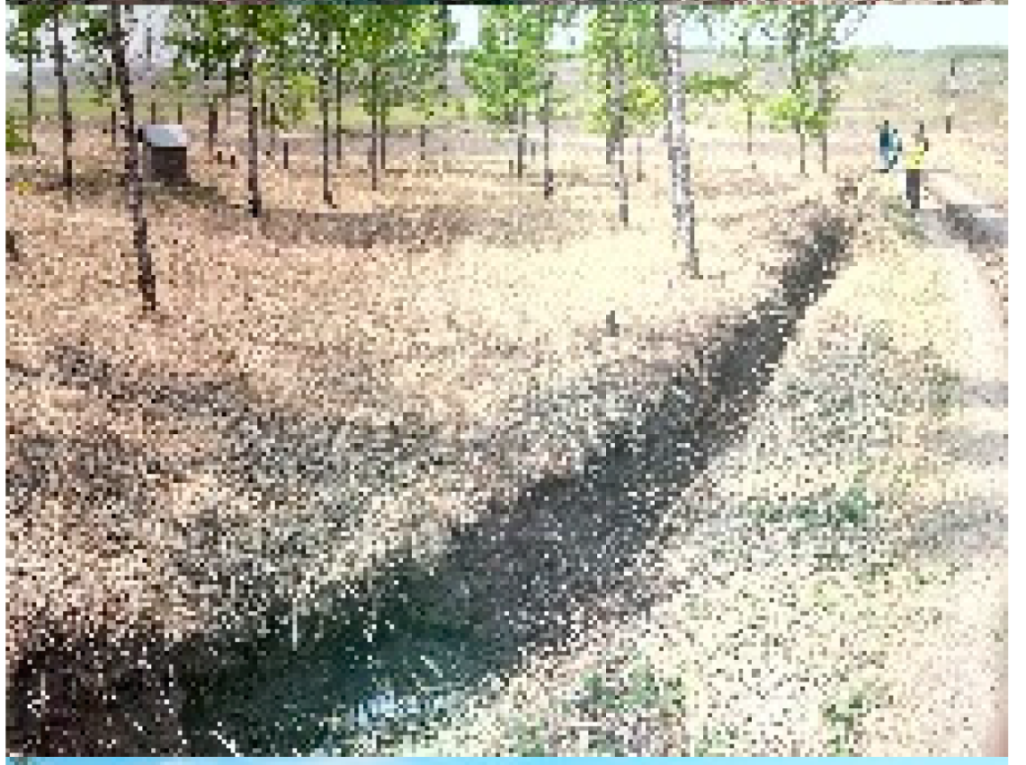 Remotesensing 13 02367 i003