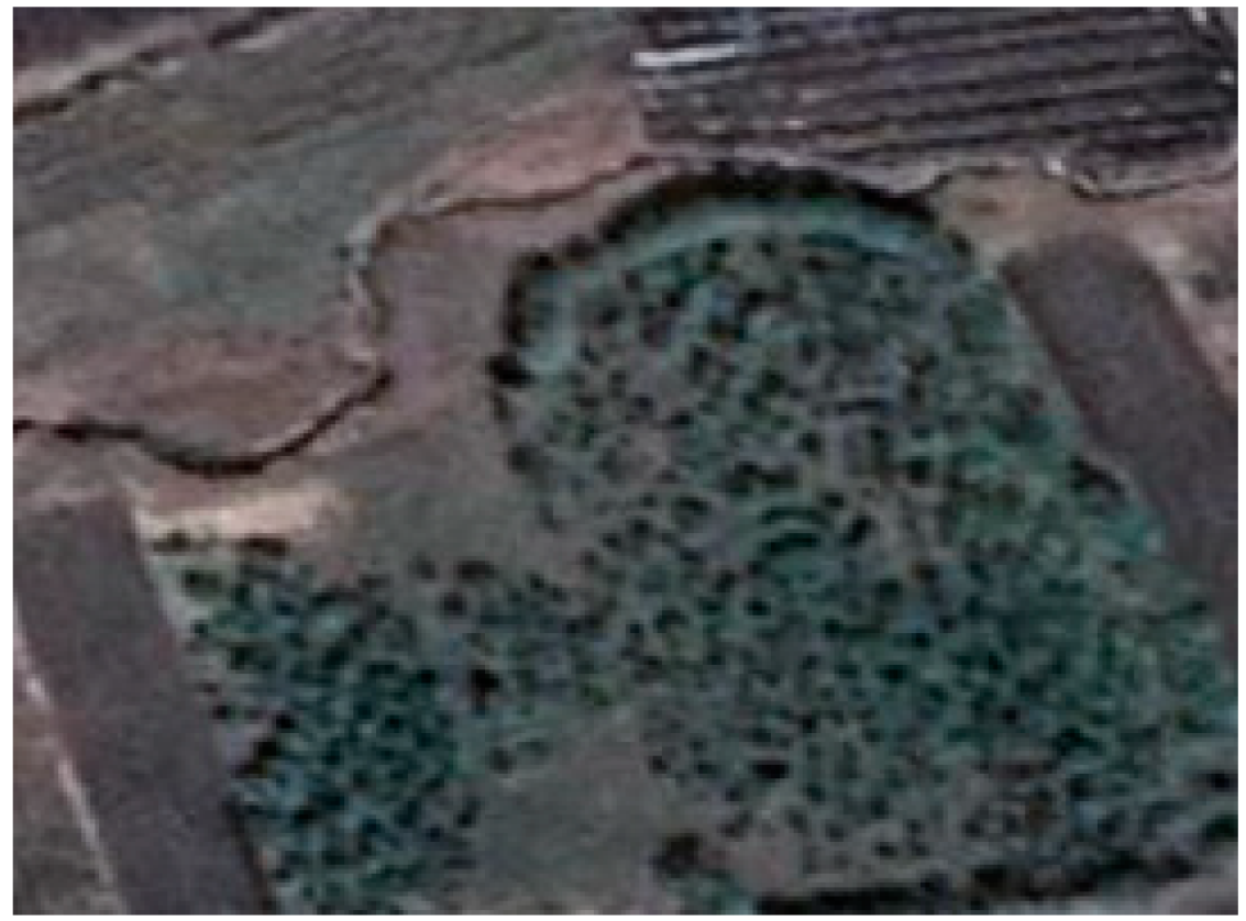 Remotesensing 13 02367 i004