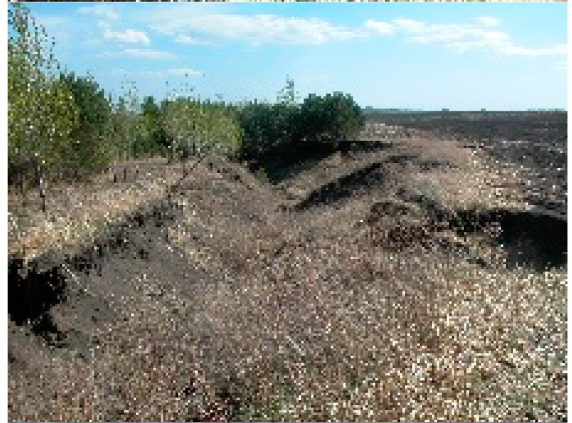 Remotesensing 13 02367 i005