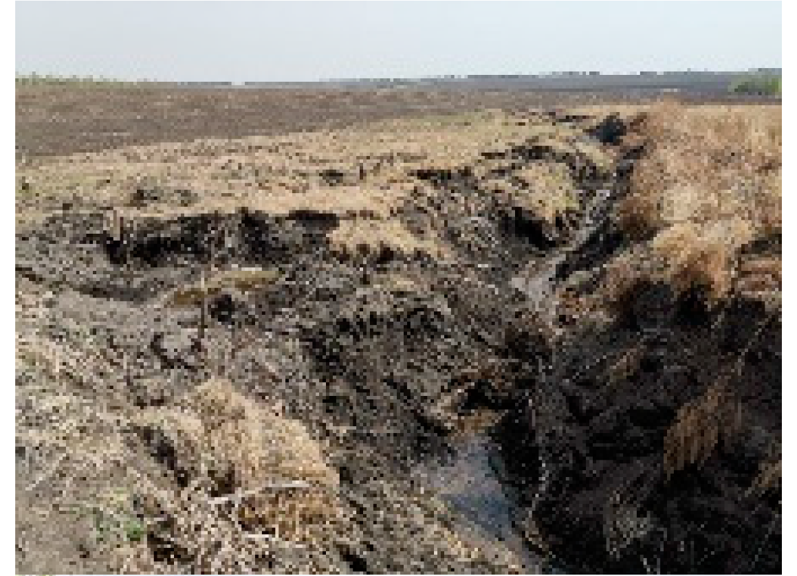 Remotesensing 13 02367 i011