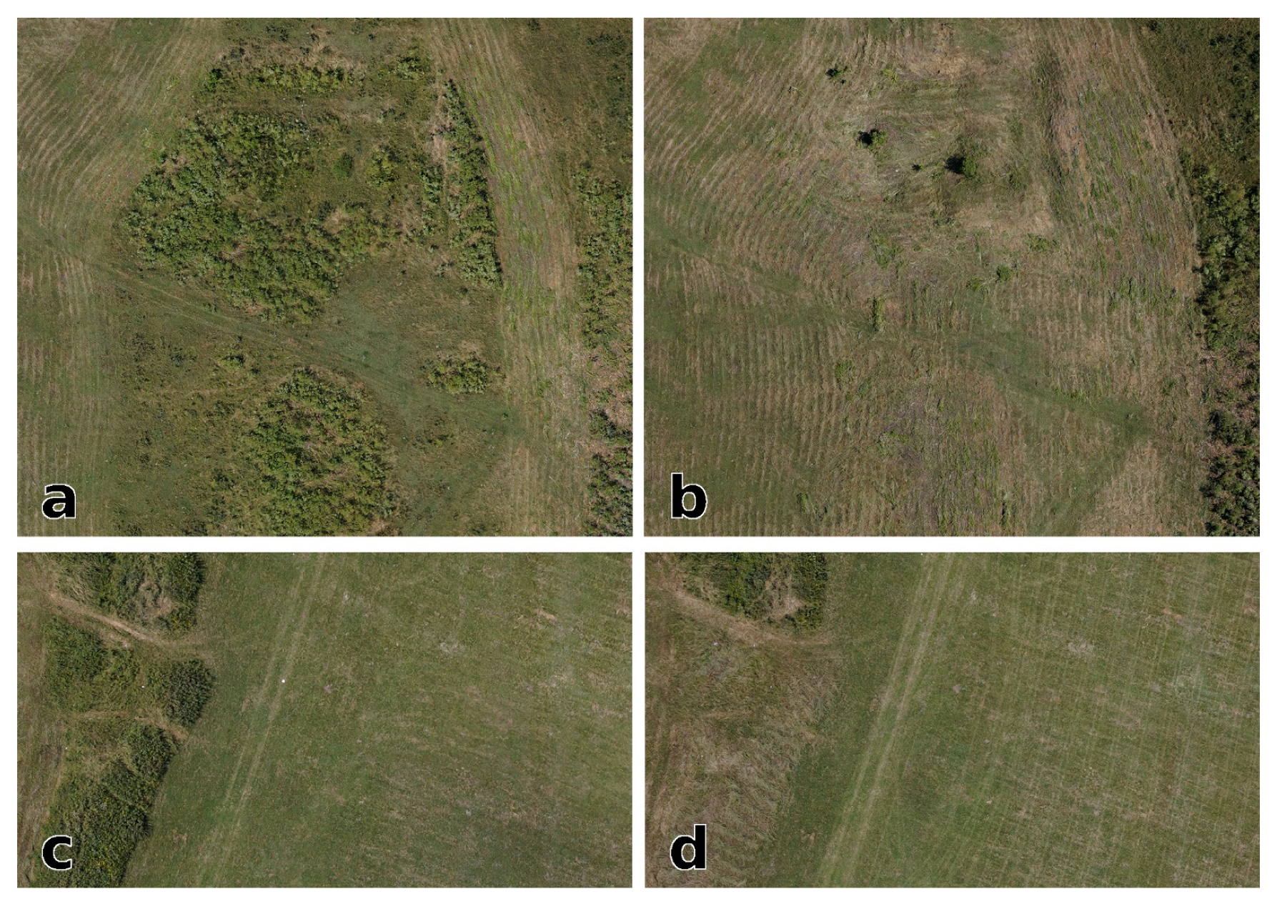 Remote Sensing | Free Full-Text | Integrating Geophysical and Photographic  Data to Visualize the Quarried Structures of the Roman Town of Bassianae