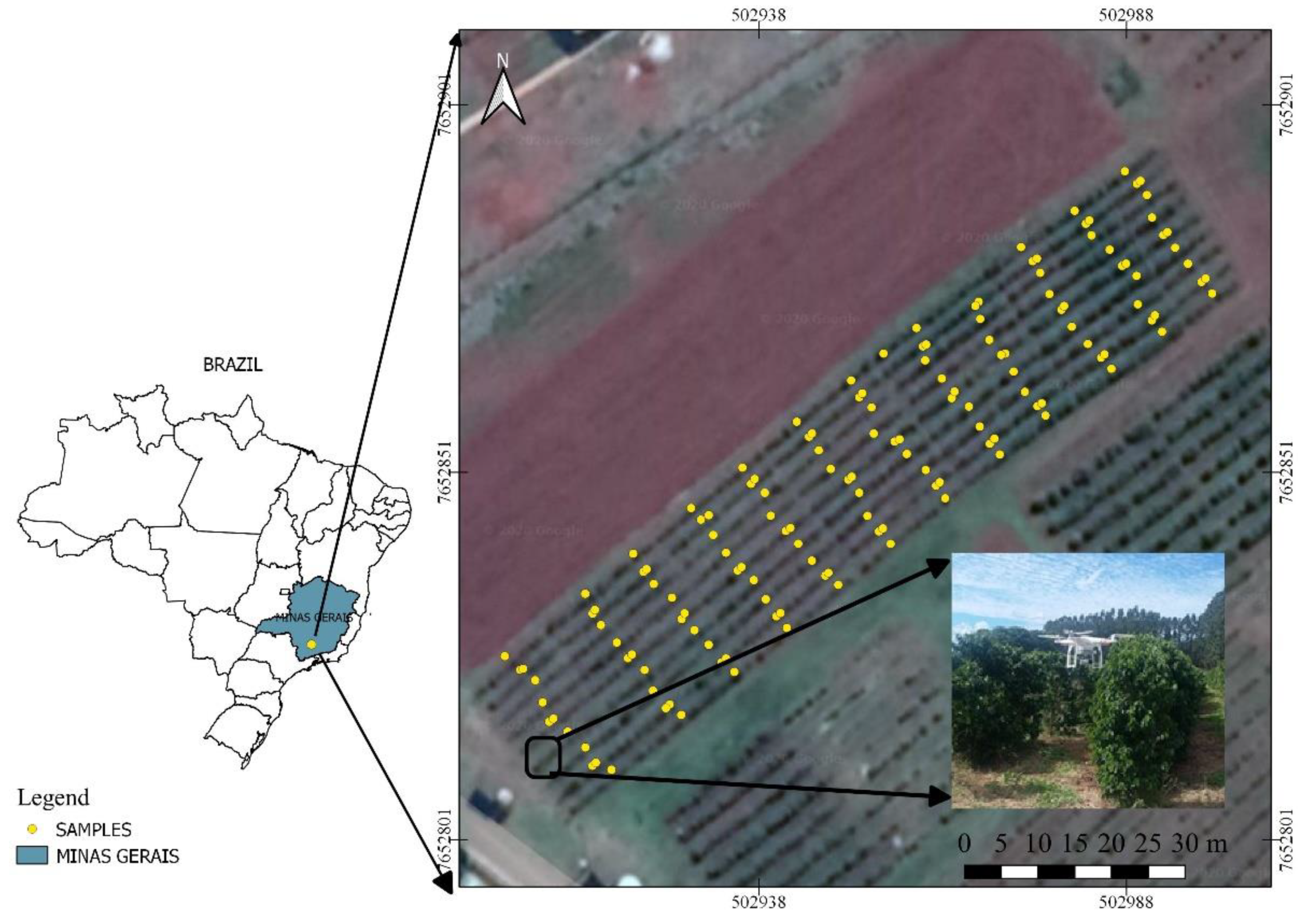 Remotesensing 13 02397 g001 Remotesensing 13 02397 g001