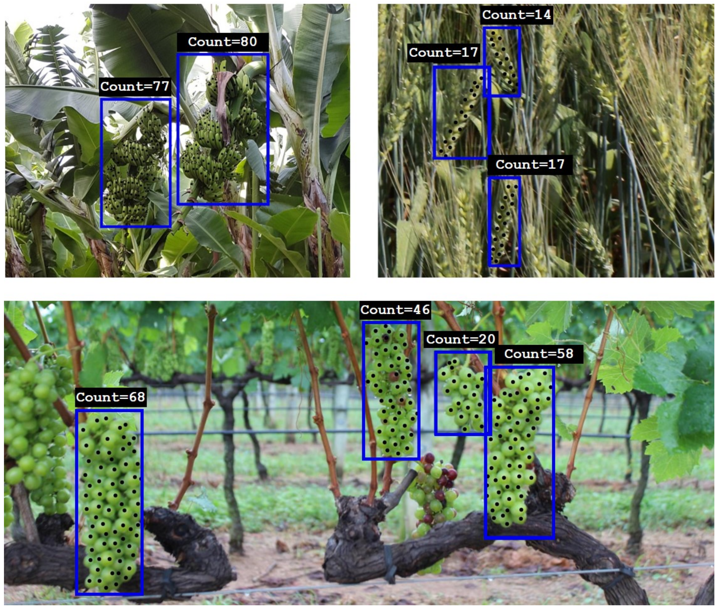 https://www.mdpi.com/remotesensing/remotesensing-13-02496/article_deploy/html/images/remotesensing-13-02496-g001.png