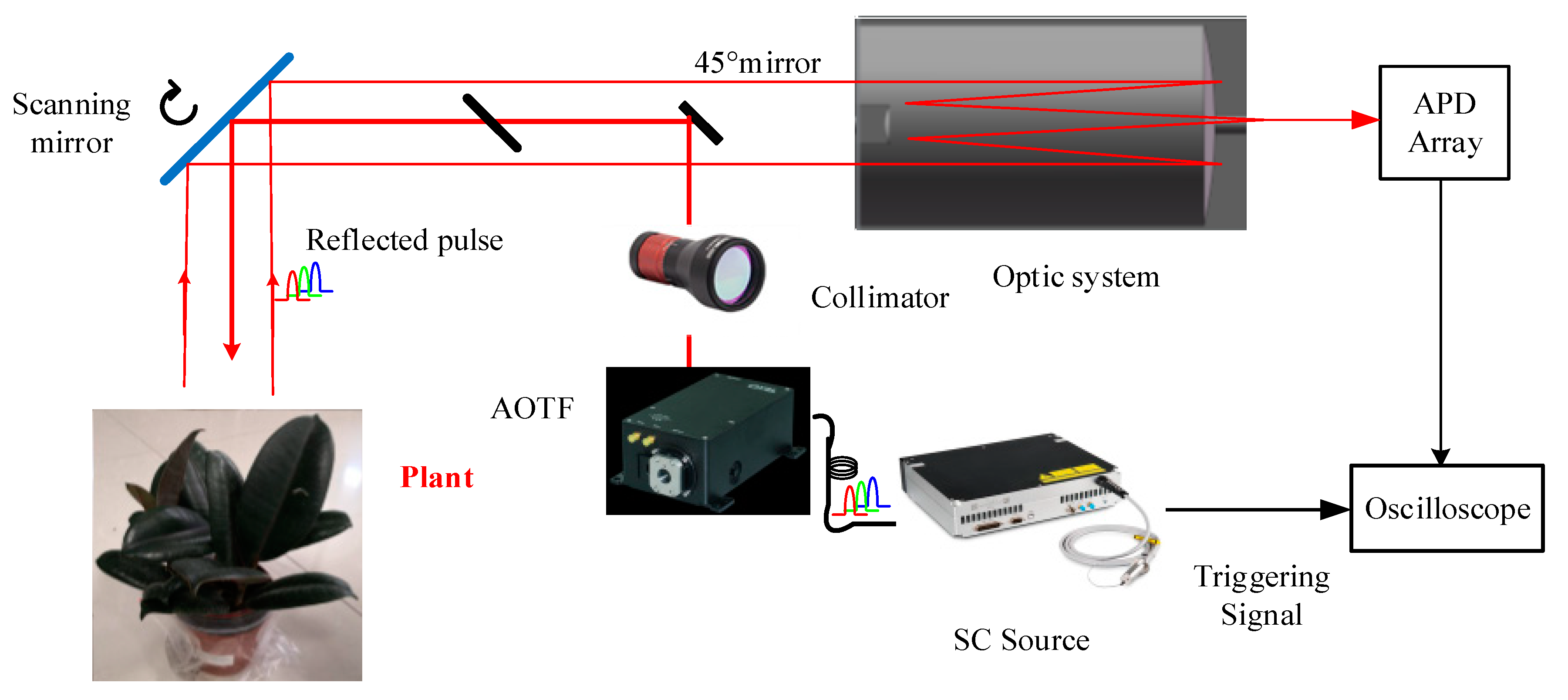 Remotesensing 13 02521 g001