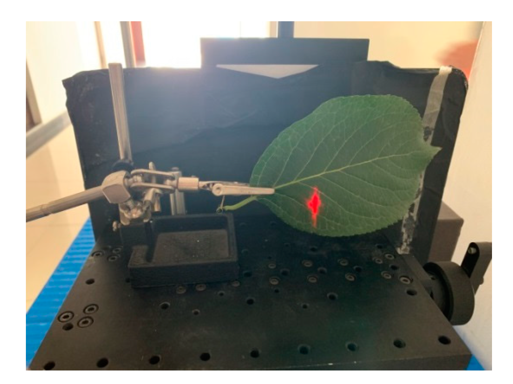 Remotesensing 13 02521 g010