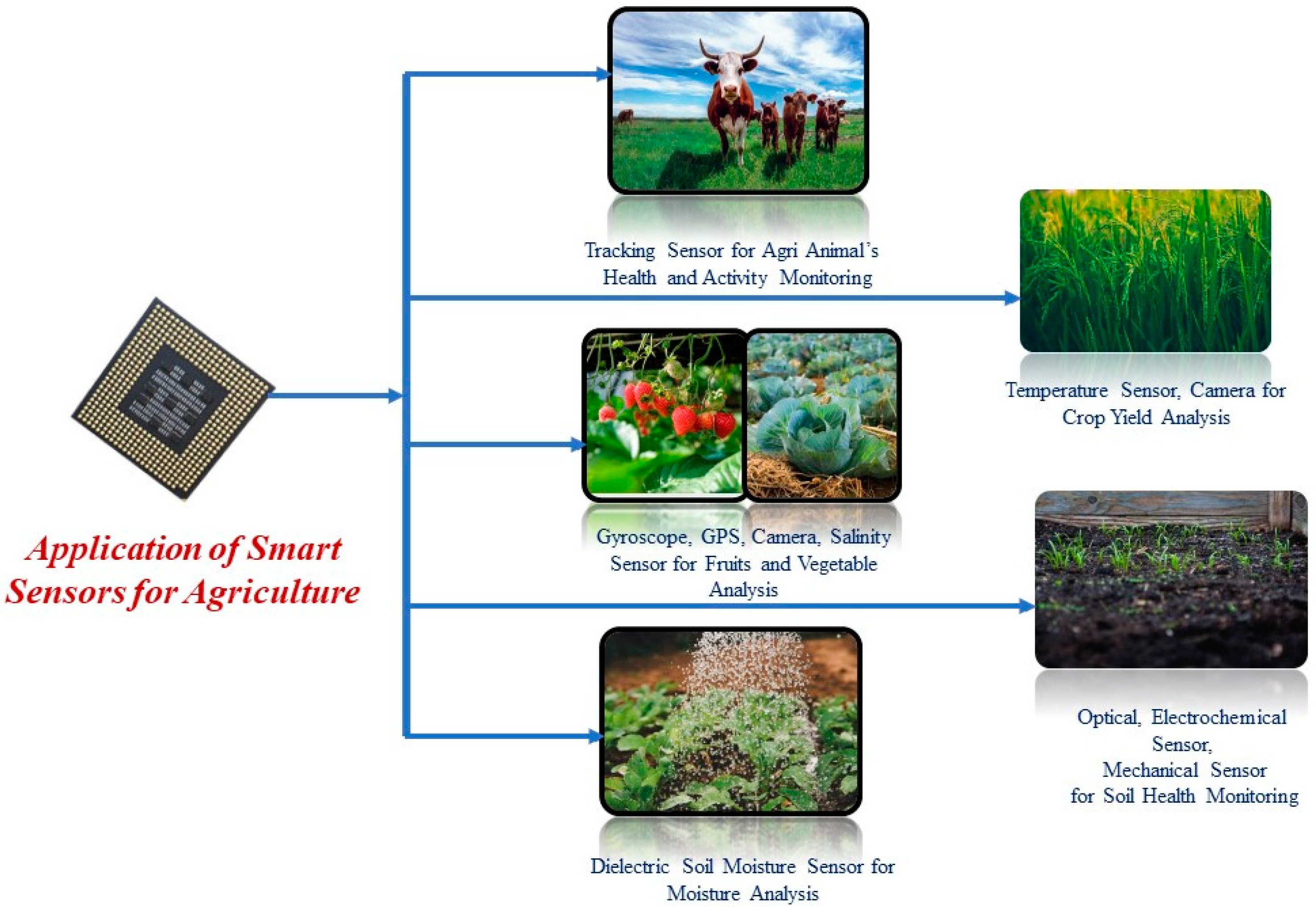 Remote Sensing | Free Full-Text | Advances In IoT And Smart Sensors For ...