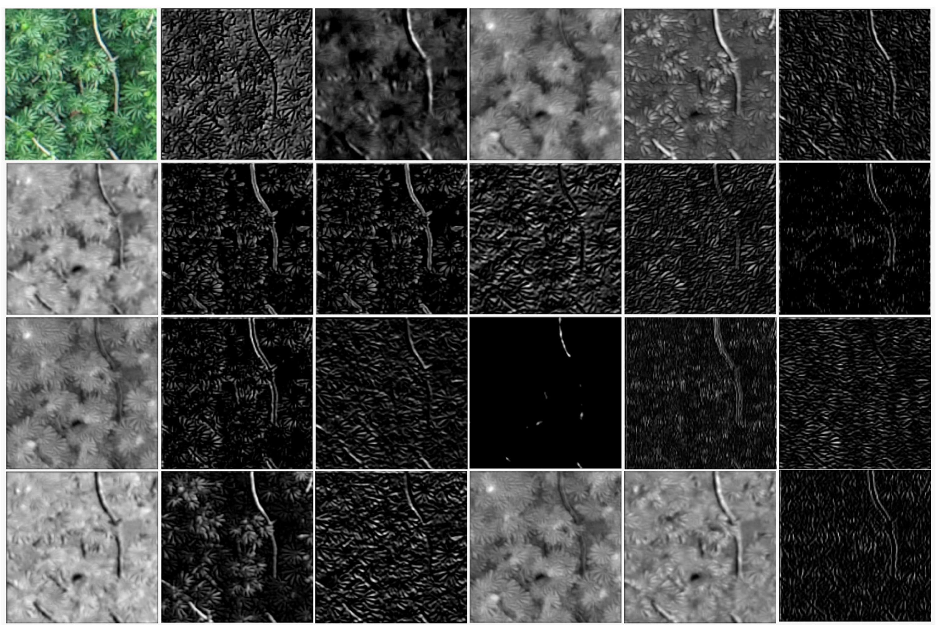 Remotesensing 13 02627 g003 Remotesensing 13 02627 g003