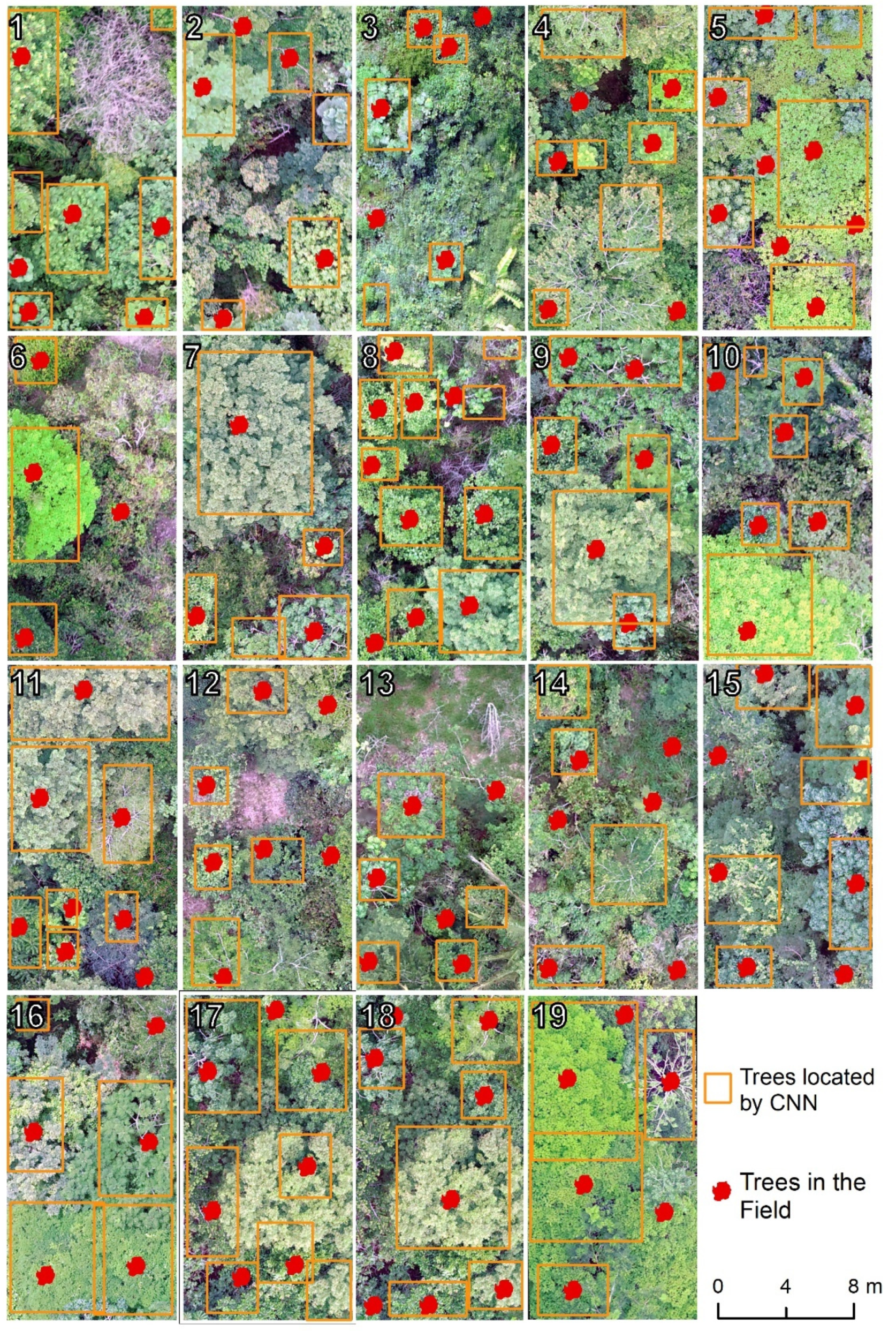 Remotesensing 13 02627 g007 Remotesensing 13 02627 g007