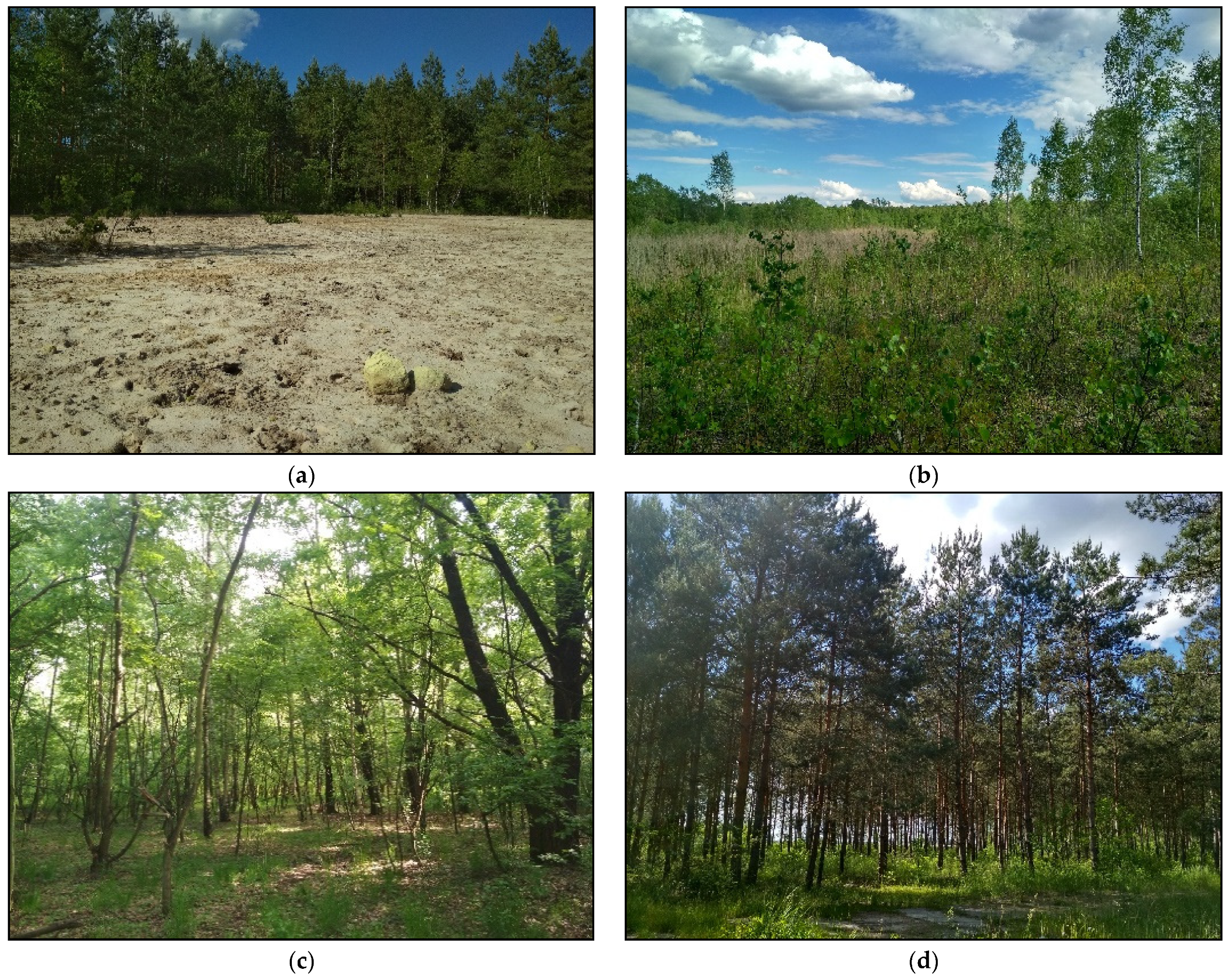 Remotesensing 13 02717 g002