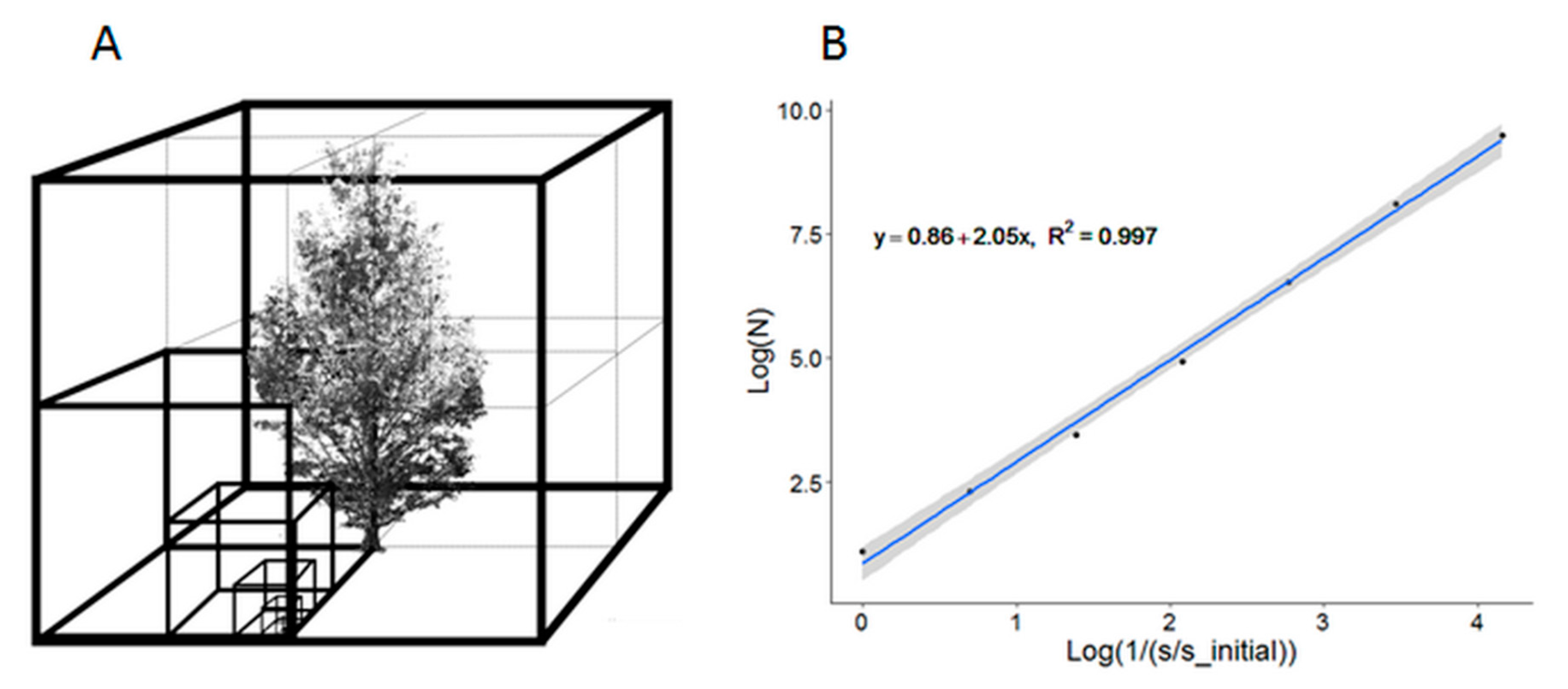 LeWoS: A universal leaf‐wood classification method to facilitate the 3D  modelling of large tropical trees using terrestrial LiDAR - Wang - 2020 -  Methods in Ecology and Evolution - Wiley Online Library