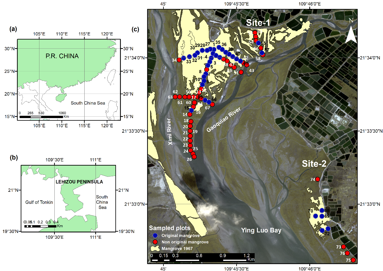 Remotesensing 13 02781 g001
