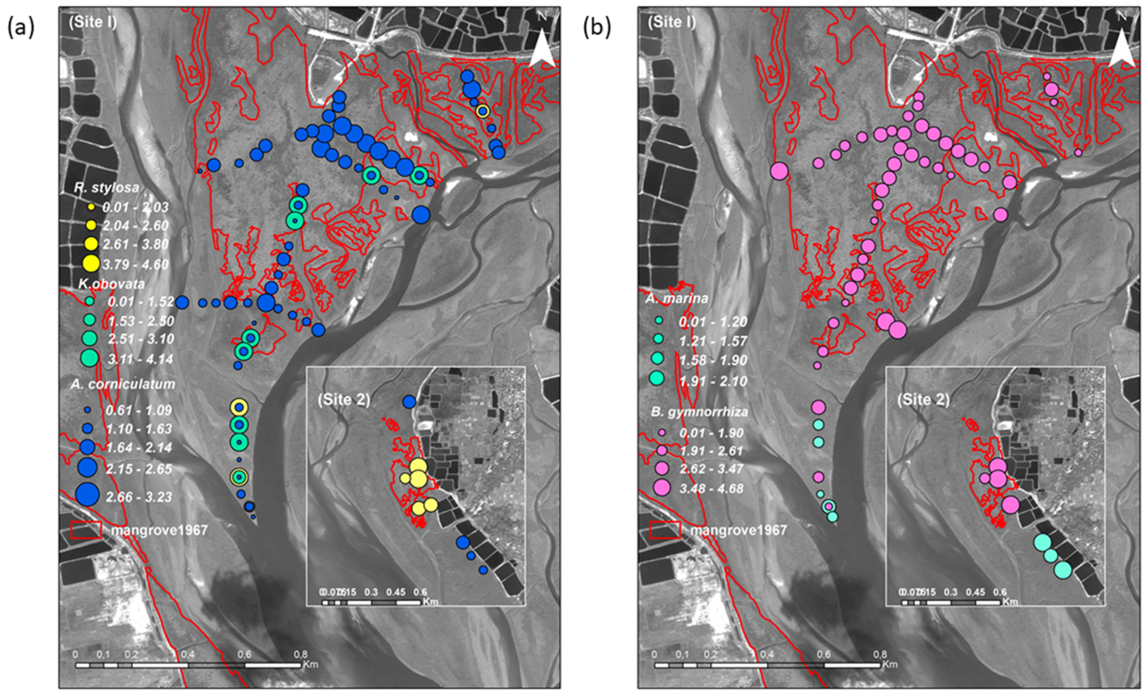 Remotesensing 13 02781 g006
