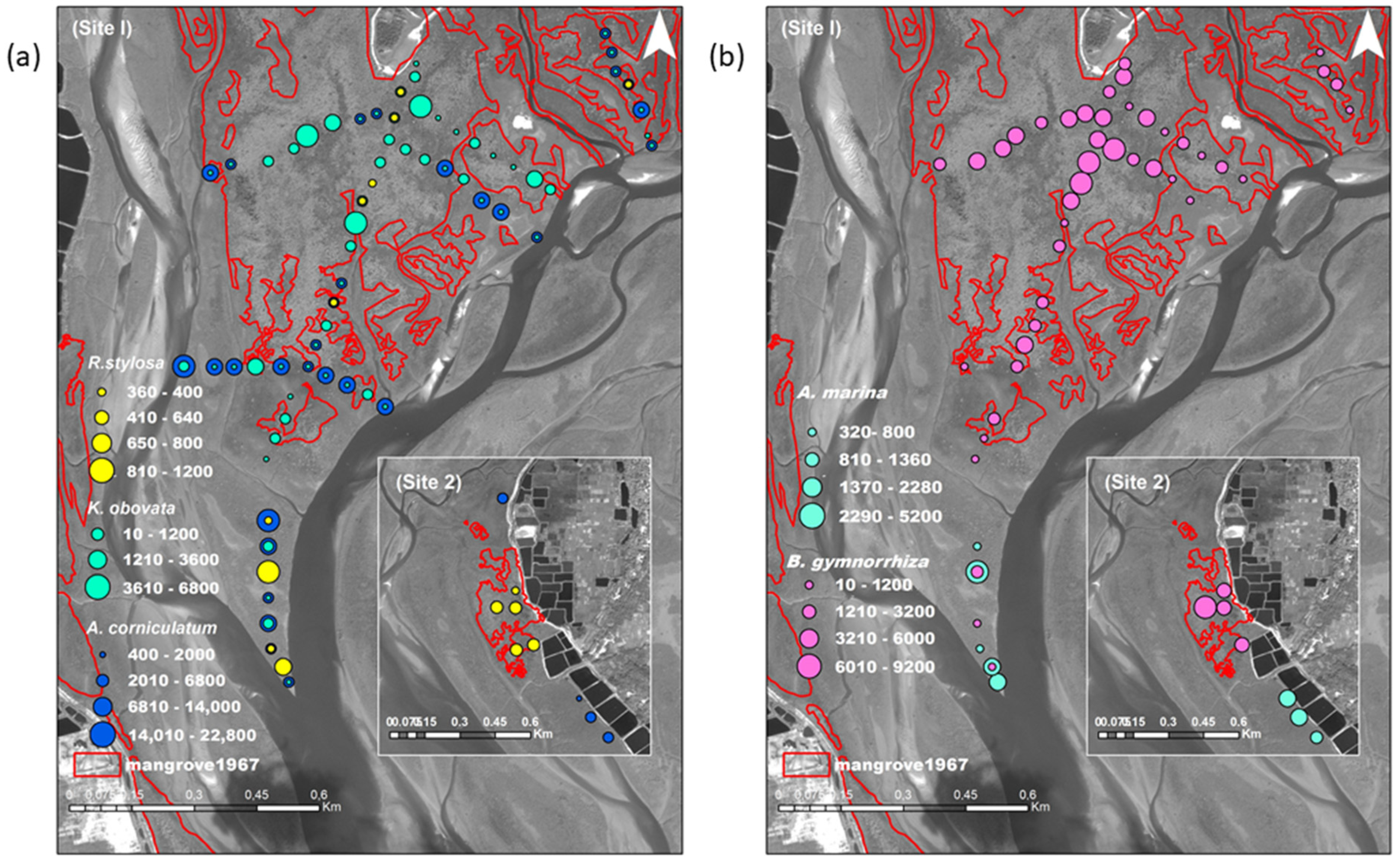 Remotesensing 13 02781 g007