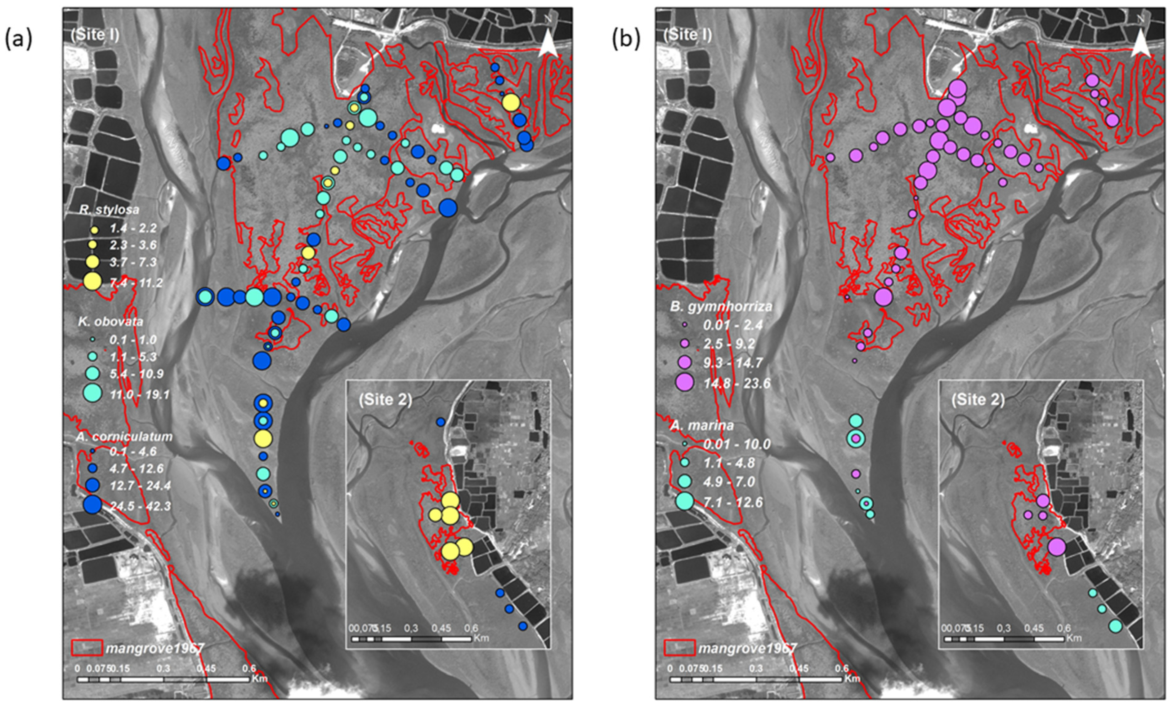Remotesensing 13 02781 g008