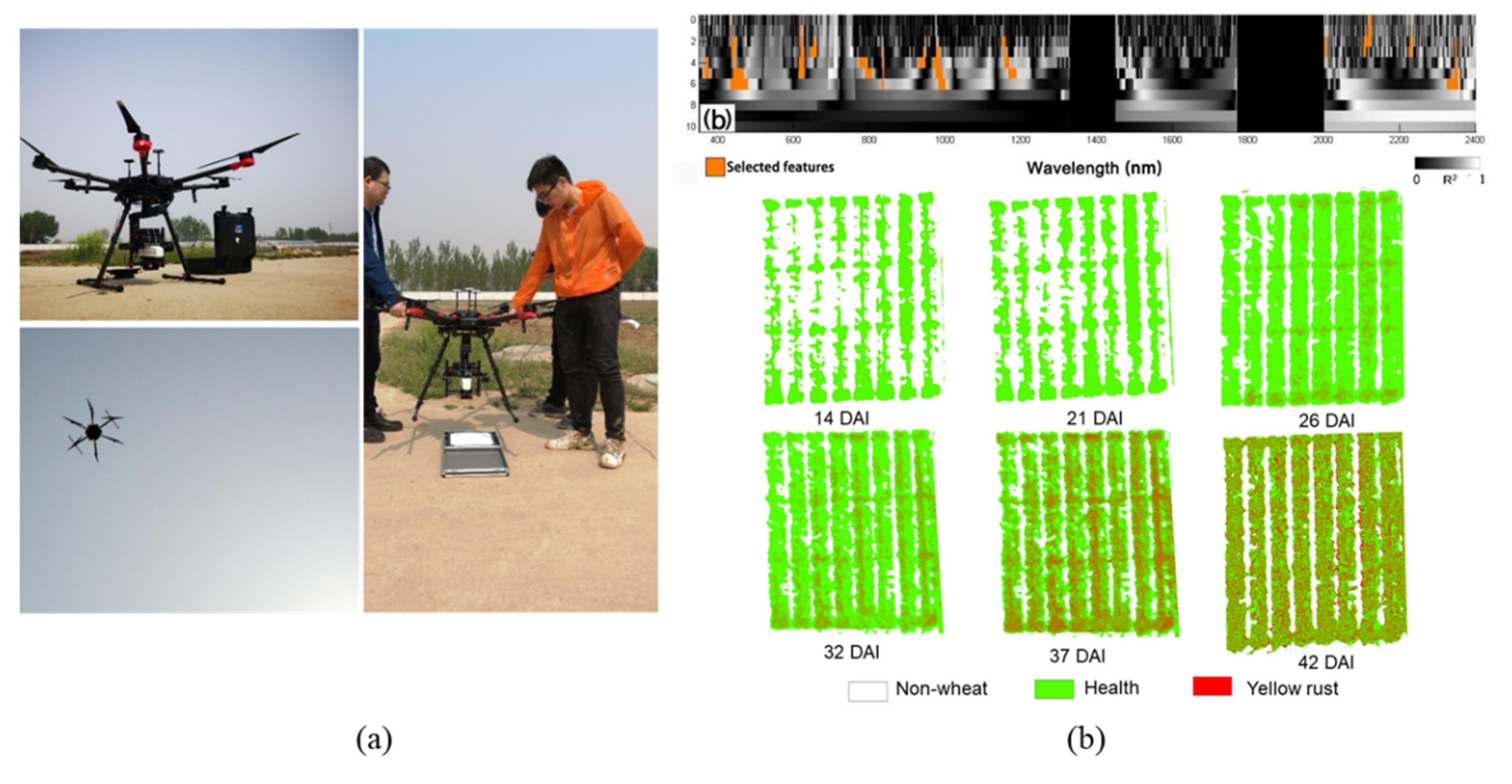 Remotesensing 13 02889 g005