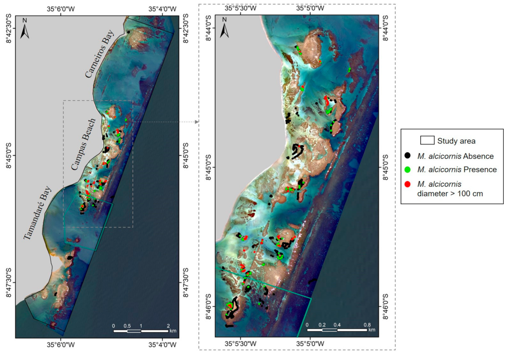 Remote Sensing | Free Full-Text | Coral Reef Mapping with Remote Sensing  and Machine Learning: A Nurture and Nature Analysis in Marine Protected  Areas | HTML