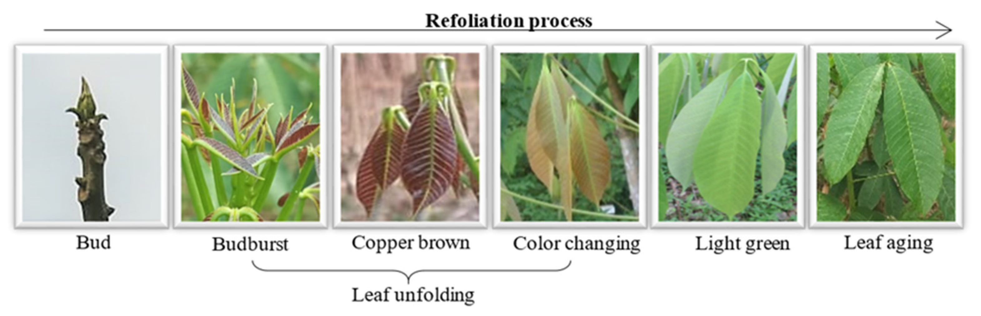 Remotesensing 13 02932 g003