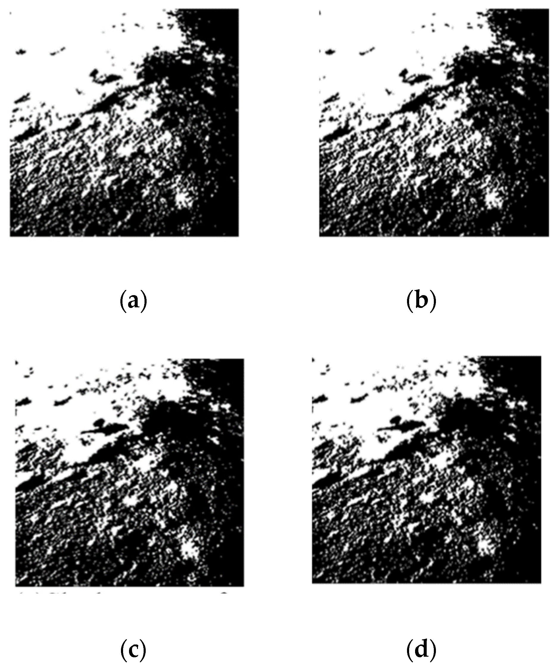 Remotesensing 13 02975 g013