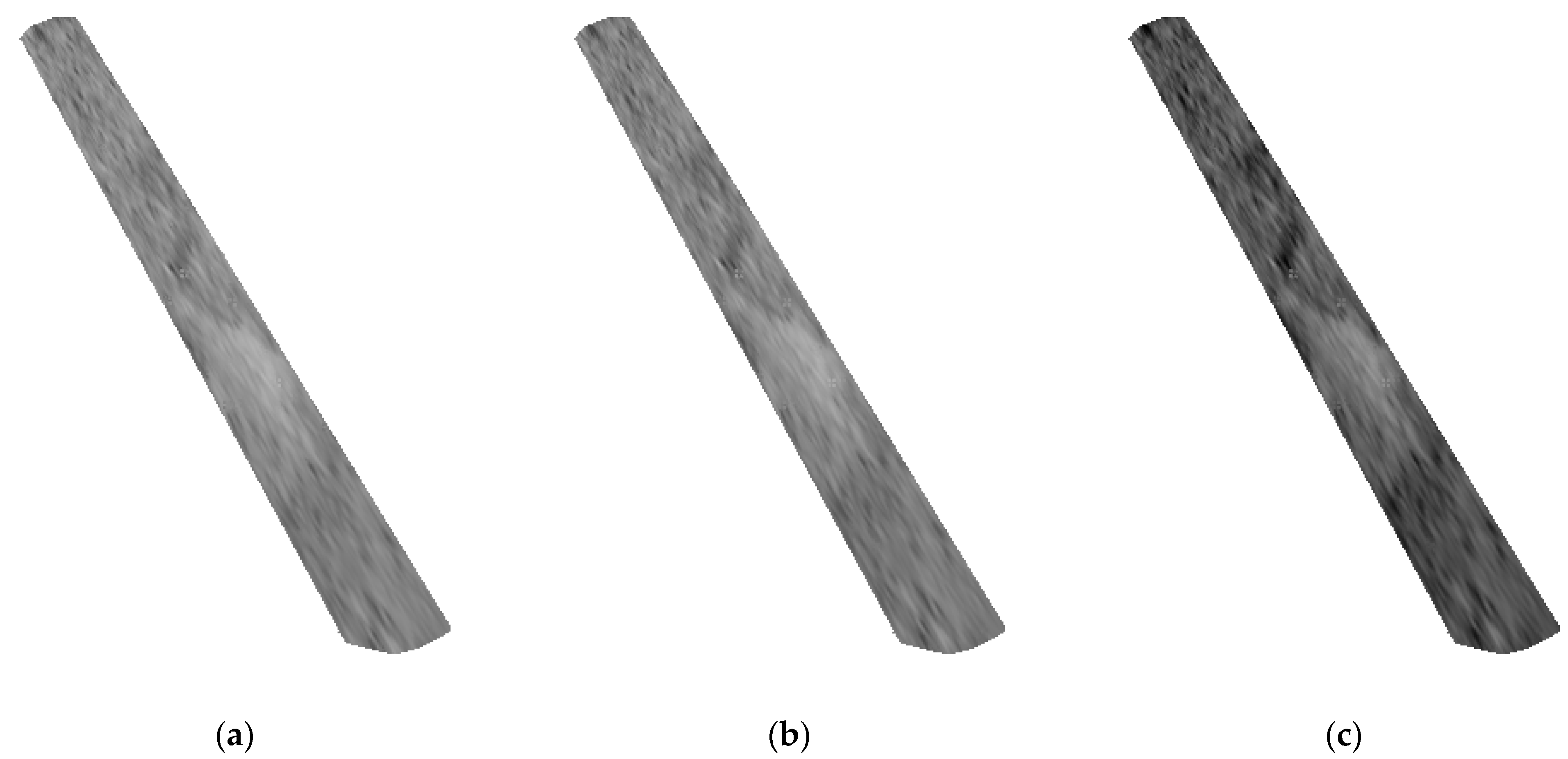 Remotesensing 13 02975 g019